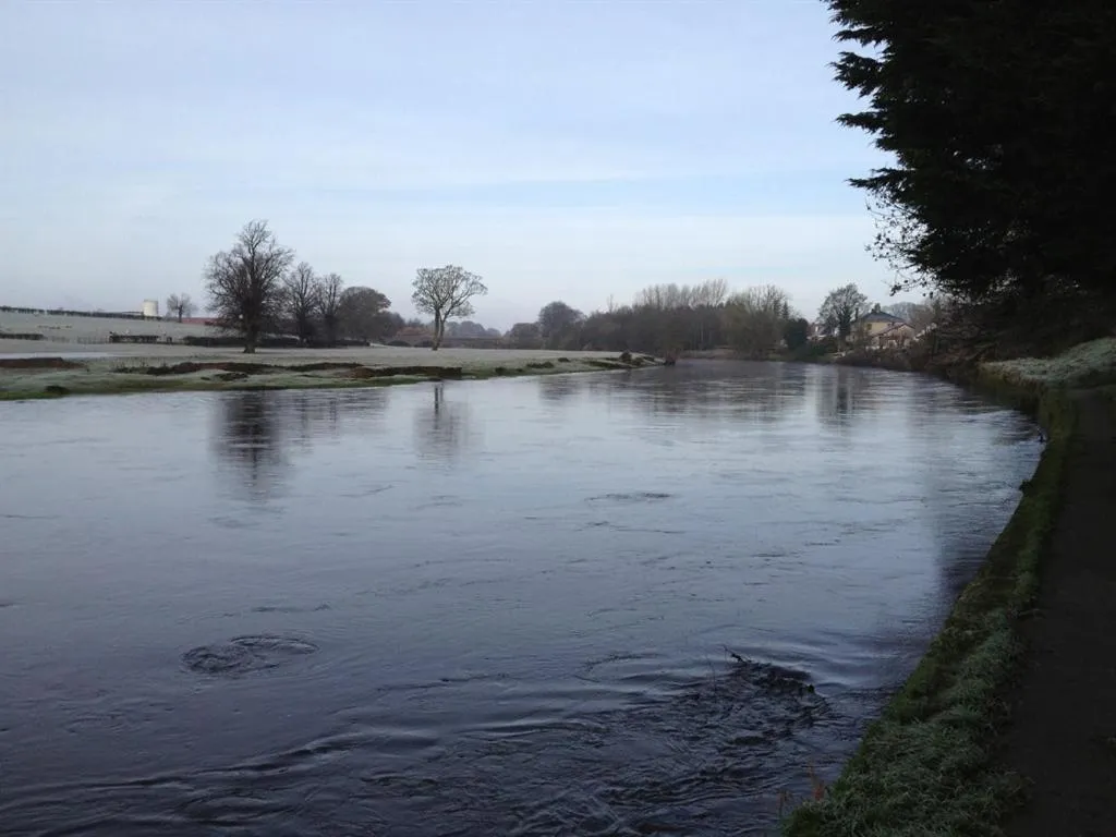 Other in Hamilton House