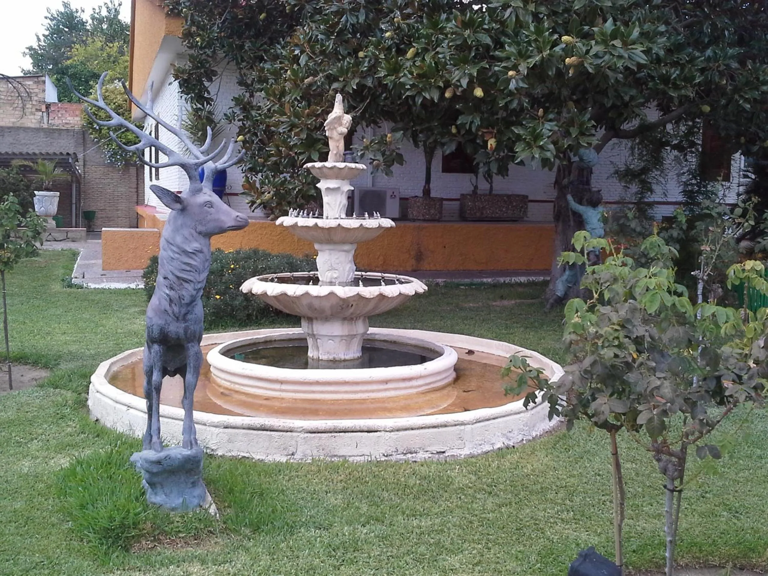 Garden in Hotel Gines