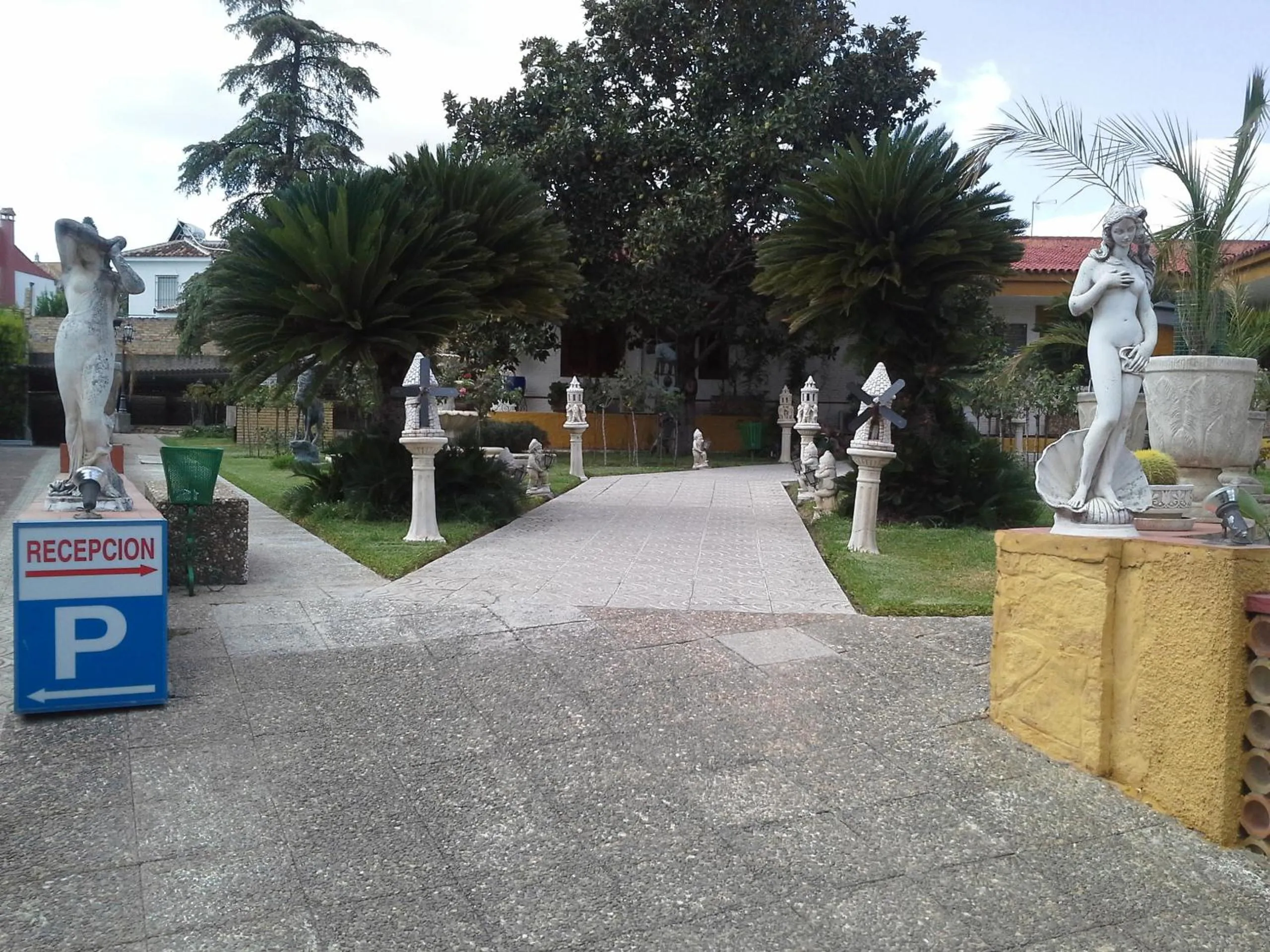 Garden in Hotel Gines