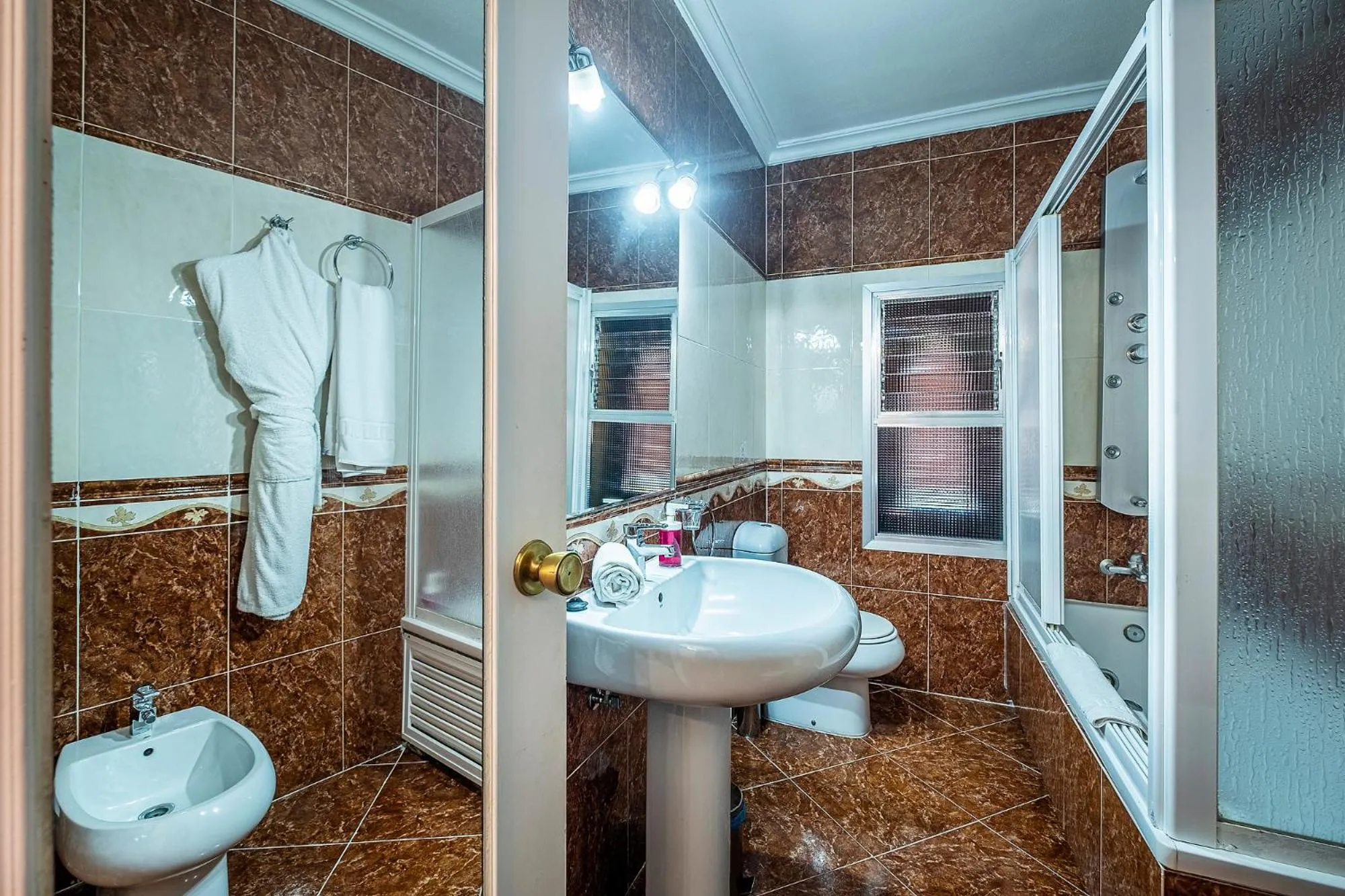 Shower in Hotel Gines