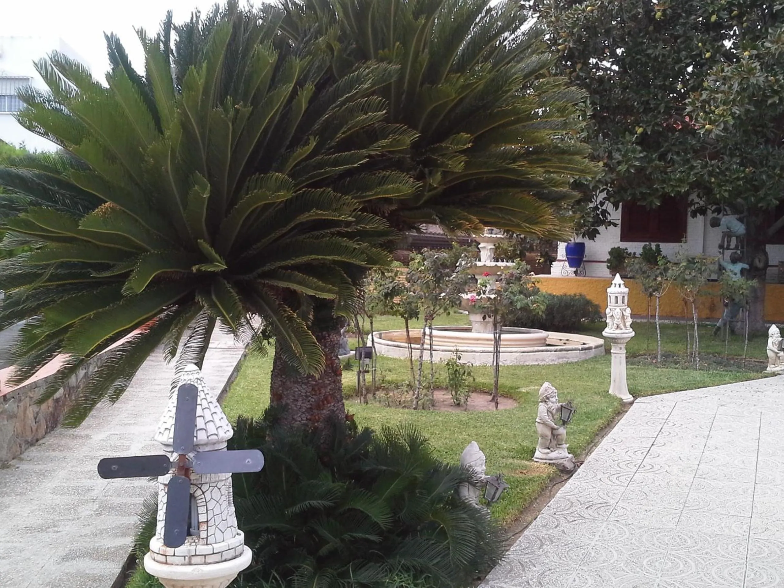 Garden in Hotel Gines