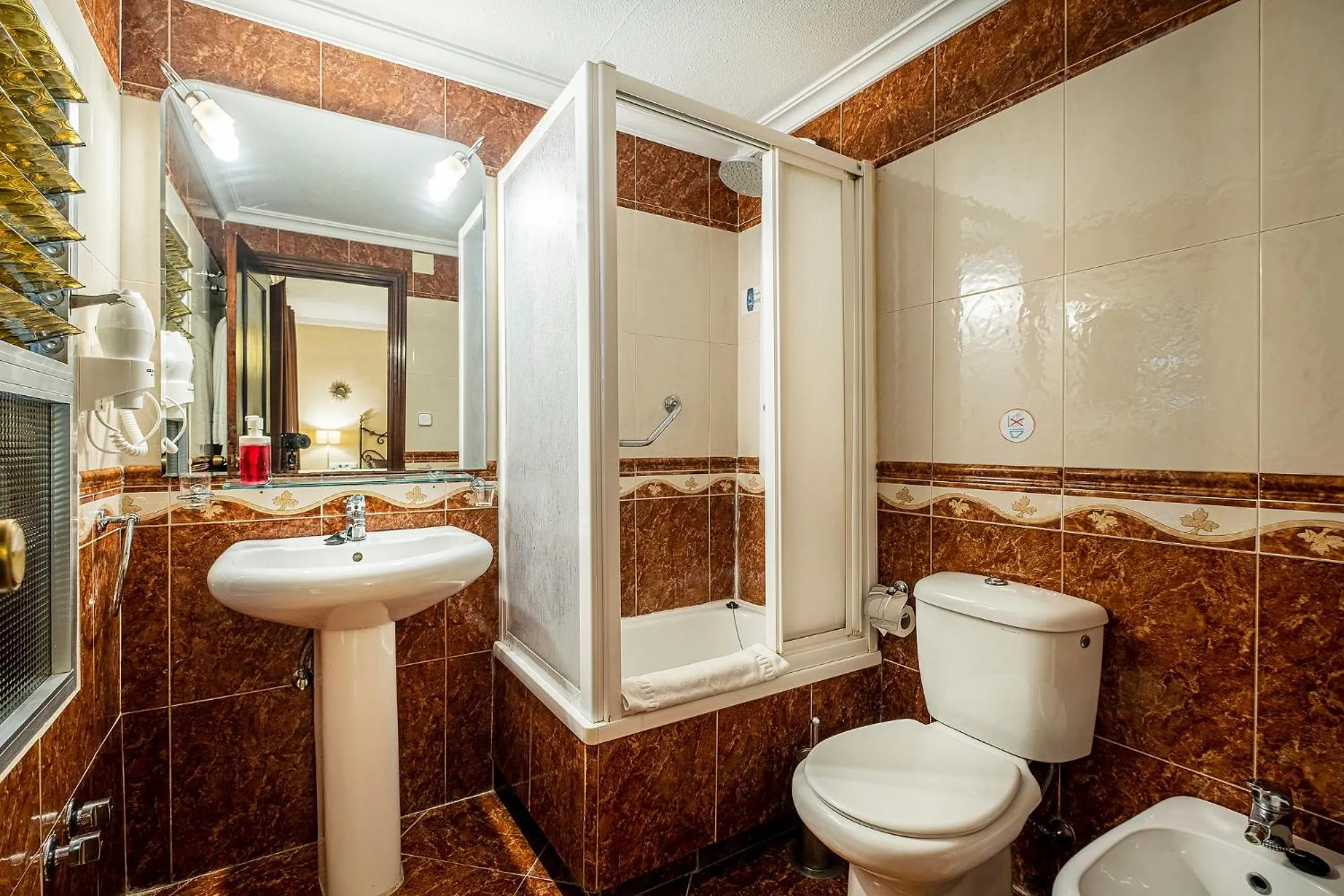 Shower in Hotel Gines