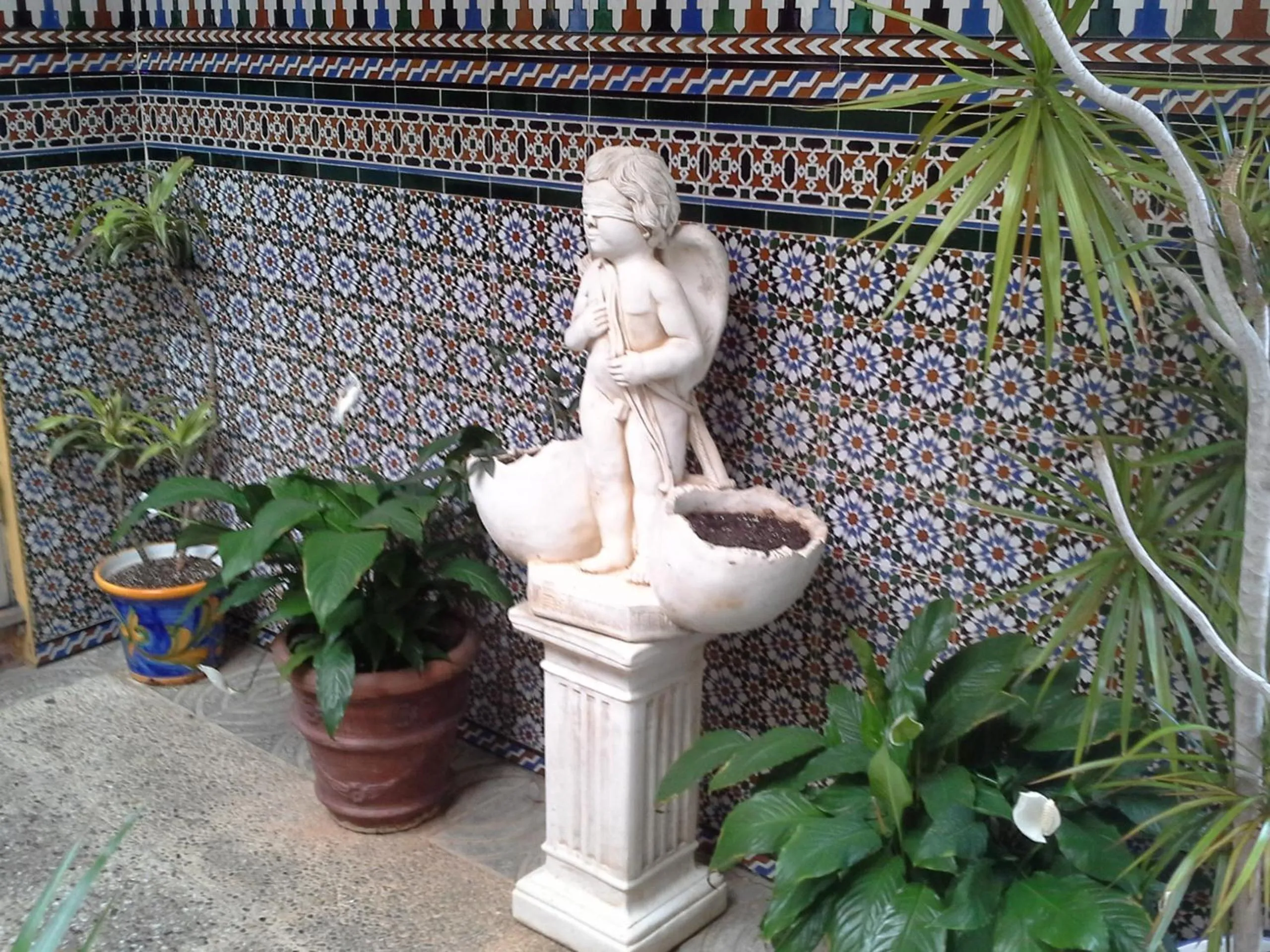 Garden in Hotel Gines