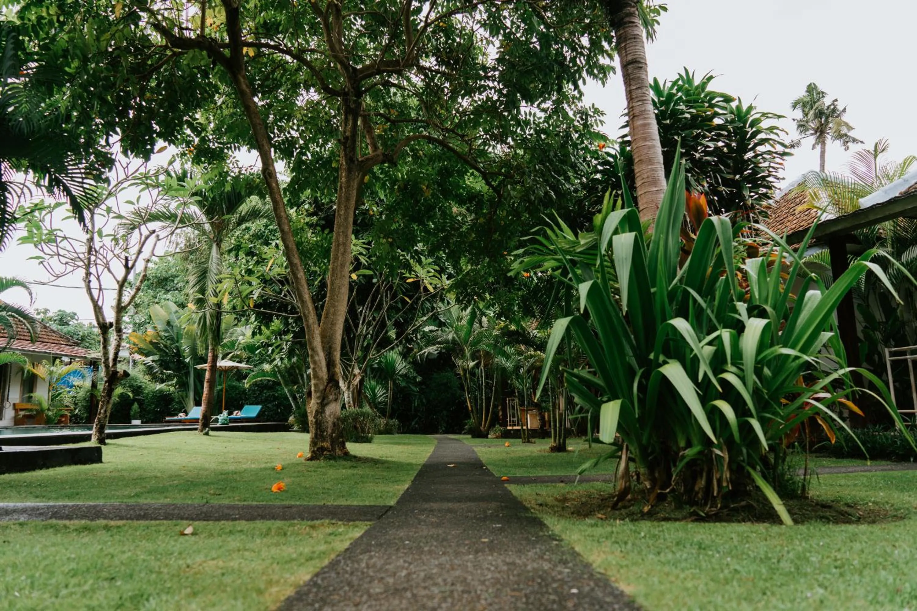 Garden in Agung Wiwin Homestay & Restaurant