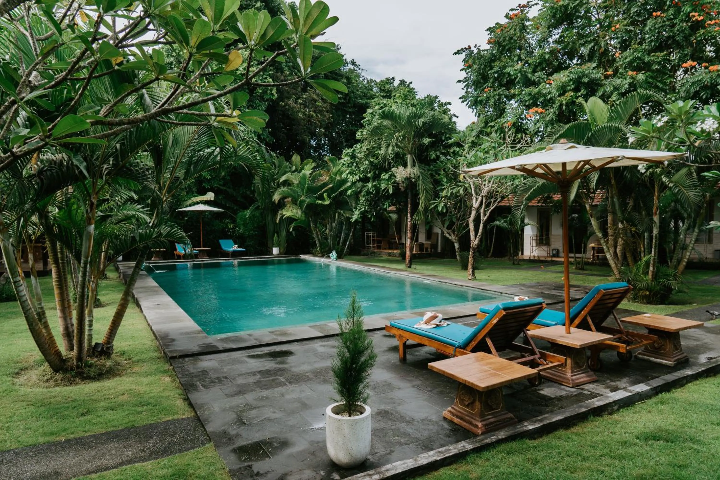 View (from property/room) in Agung Wiwin Homestay & Restaurant