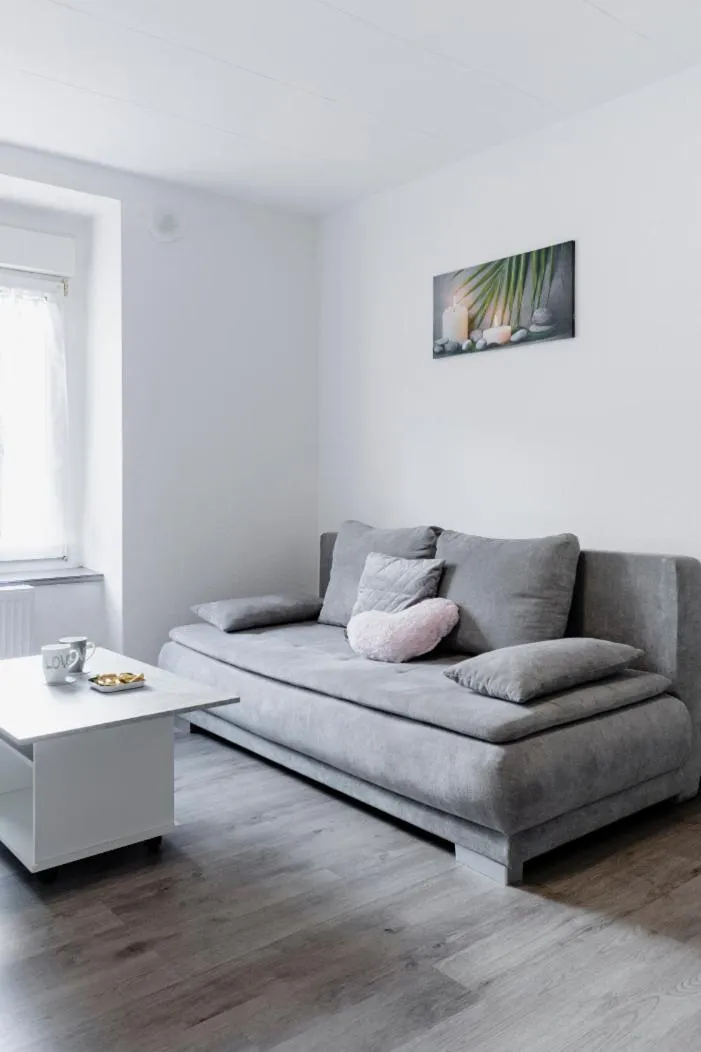 Comfort Stay Basel Airport 1B46