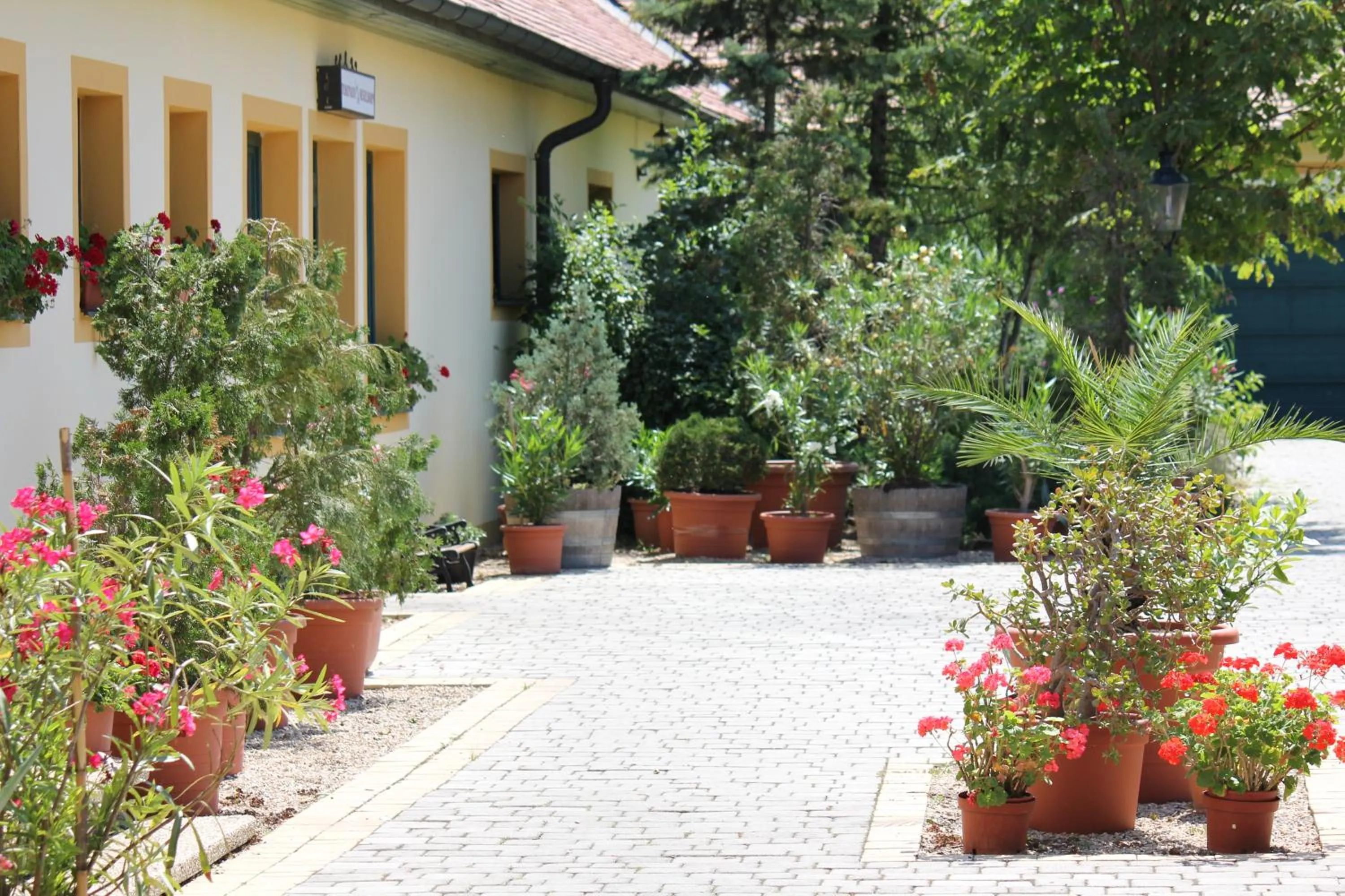 Patio in Levanda Panzió