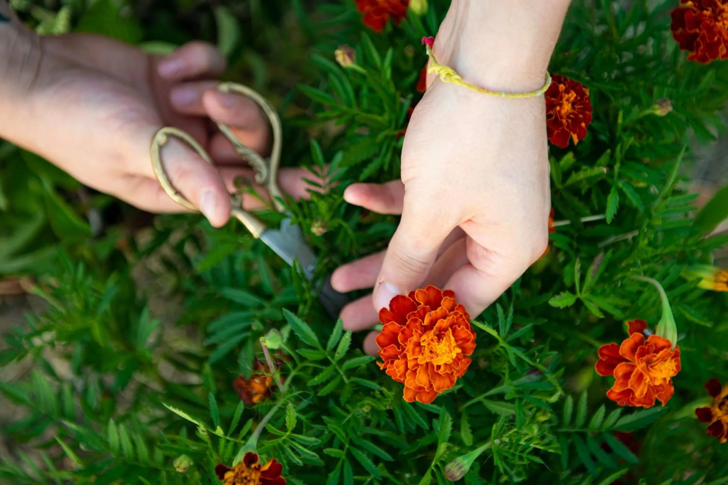 Property building in Borgo Antichi Orti Assisi