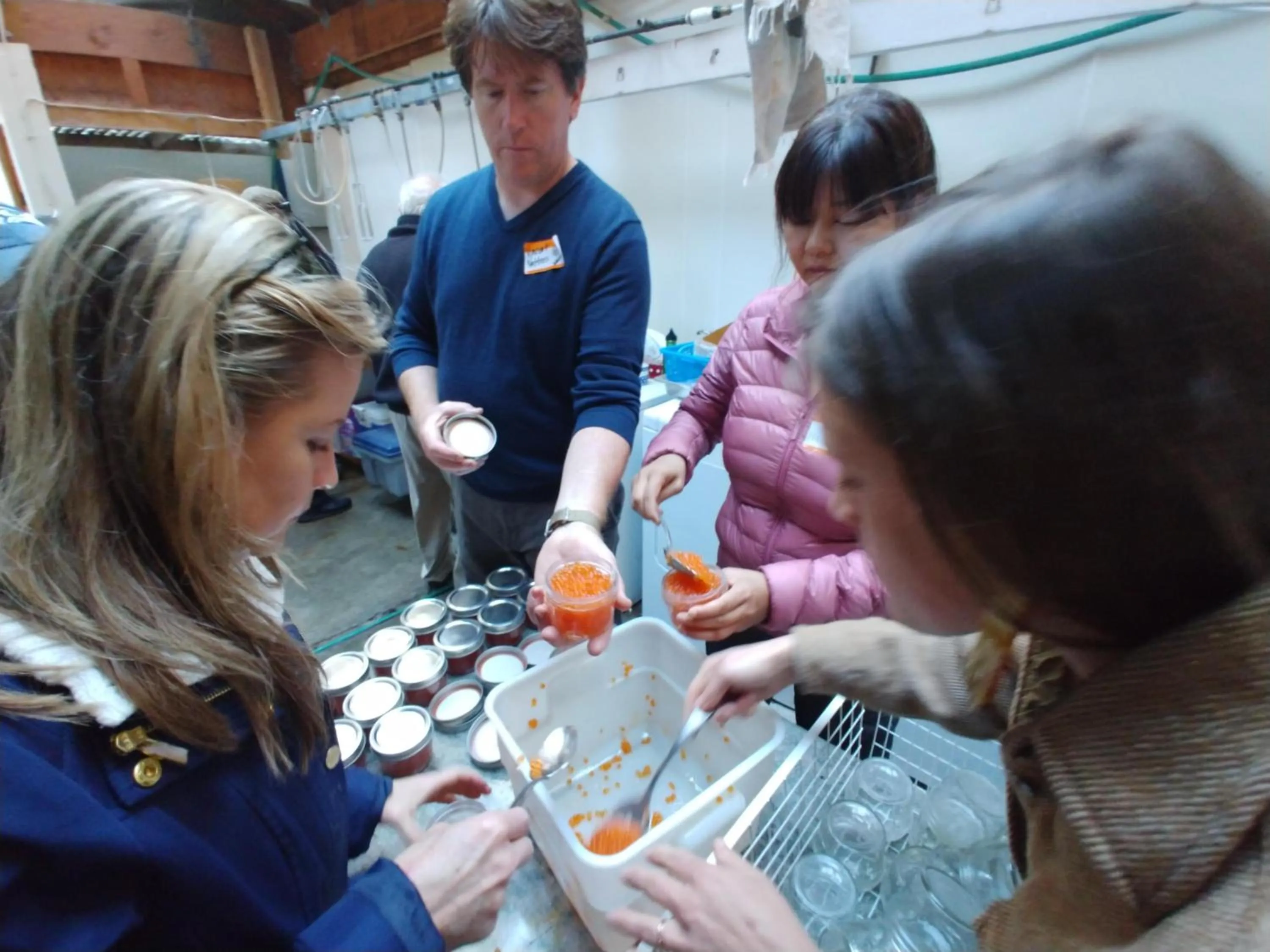 Activities in Nettles Farm