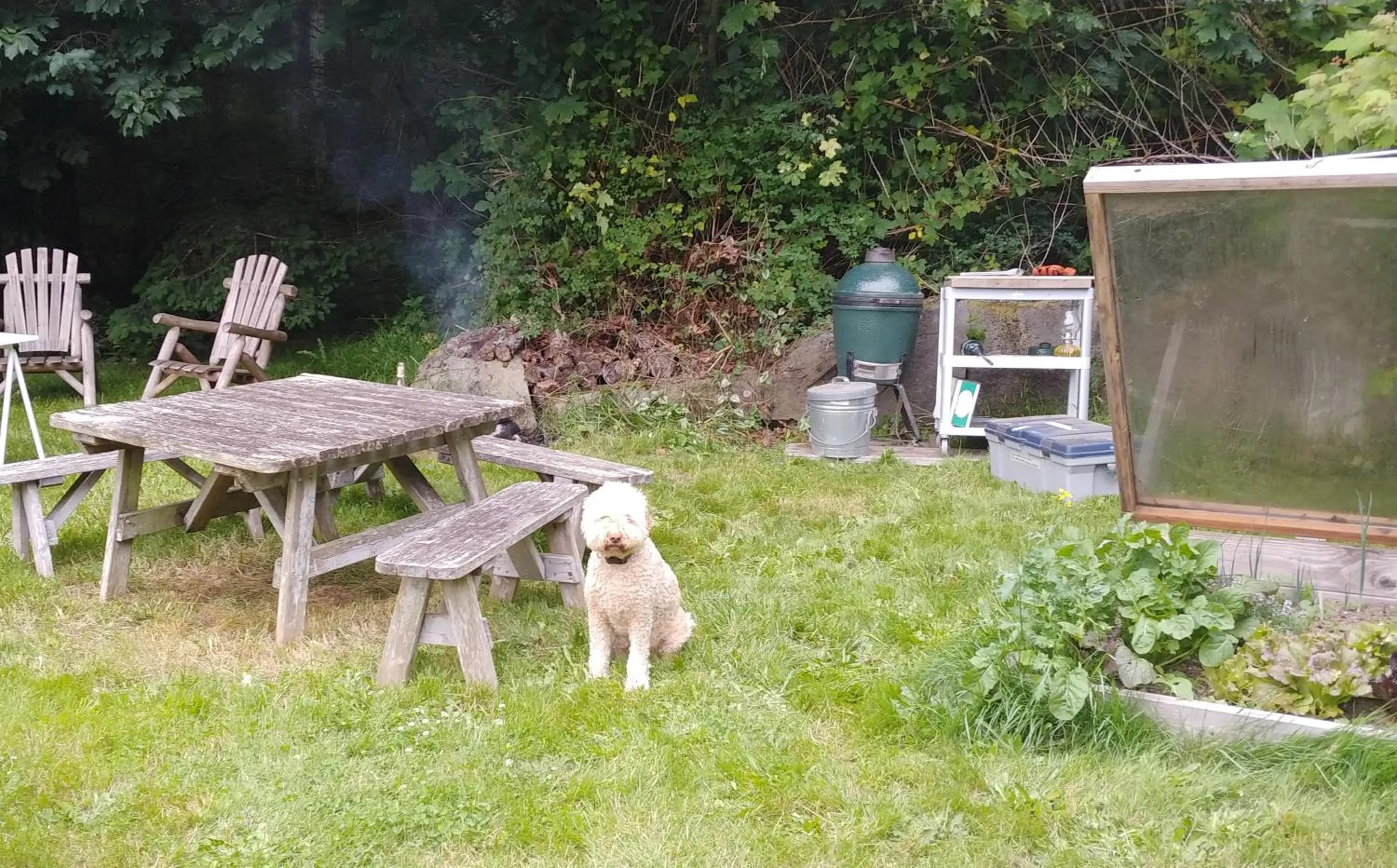 Activities in Nettles Farm