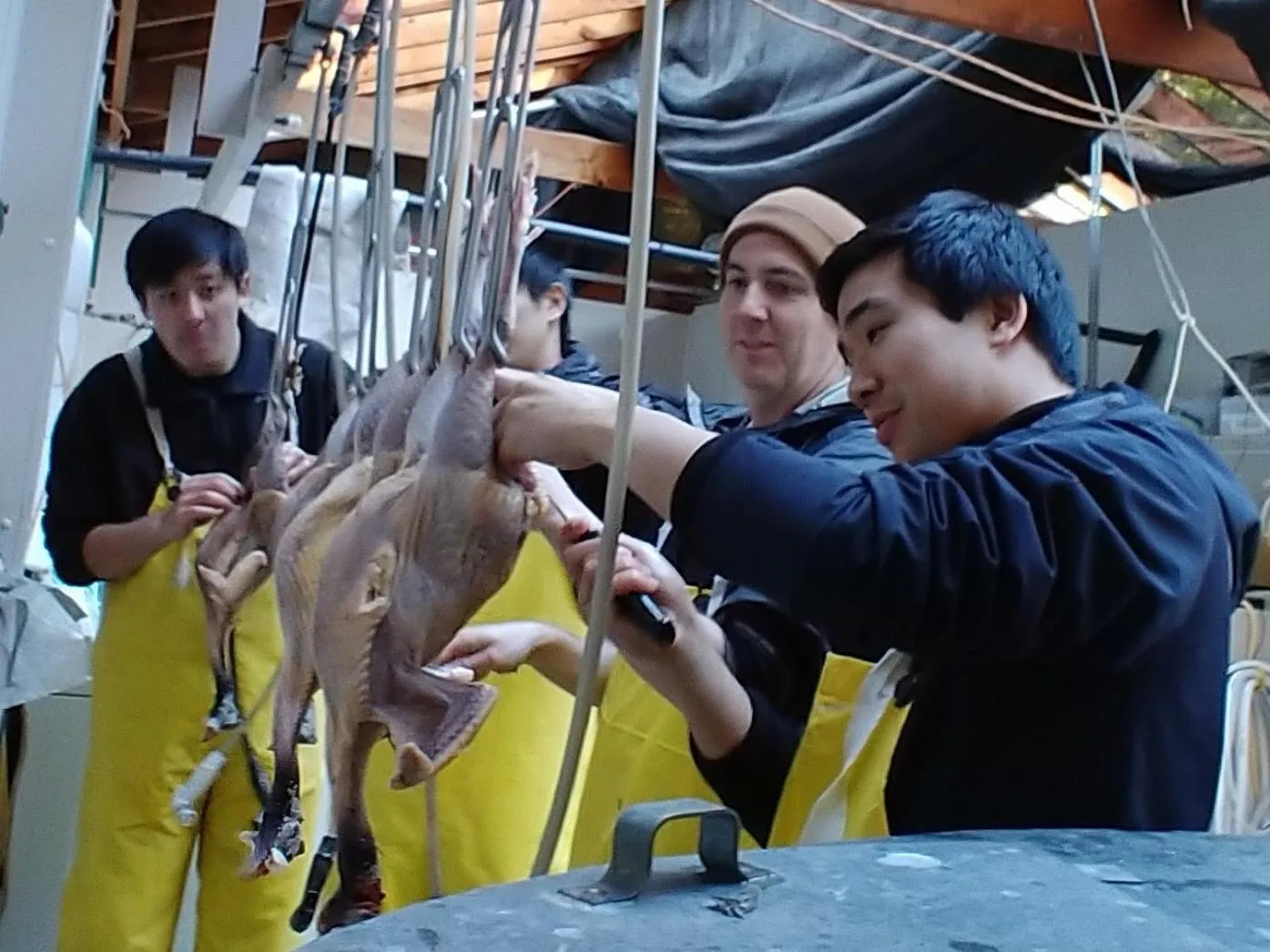 Activities in Nettles Farm