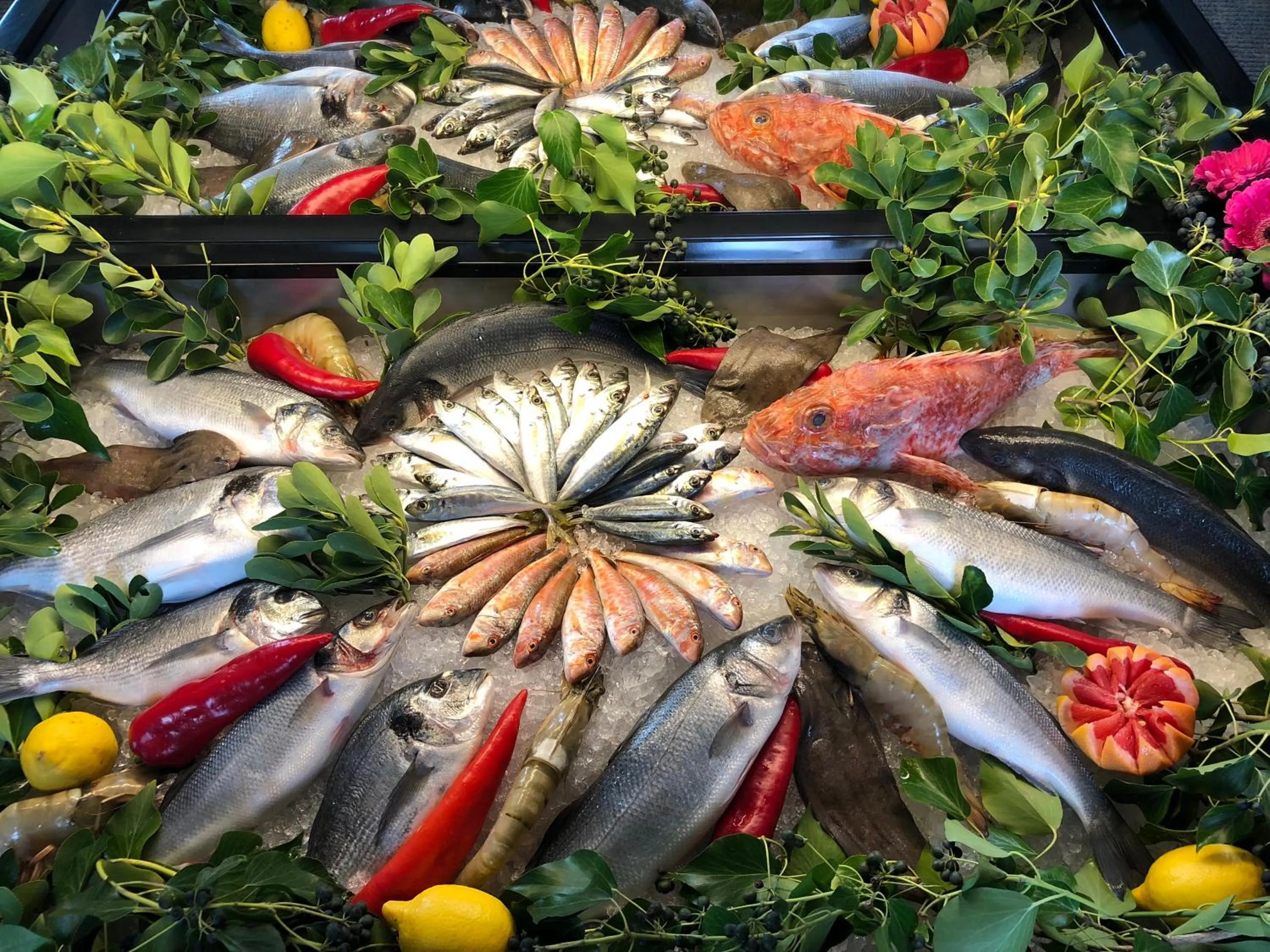 Food close-up in Kalyon Hotel Istanbul