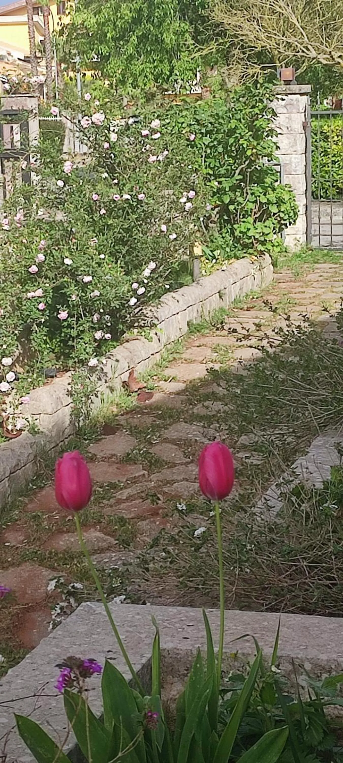 Garden view in B&B Villa Victoria