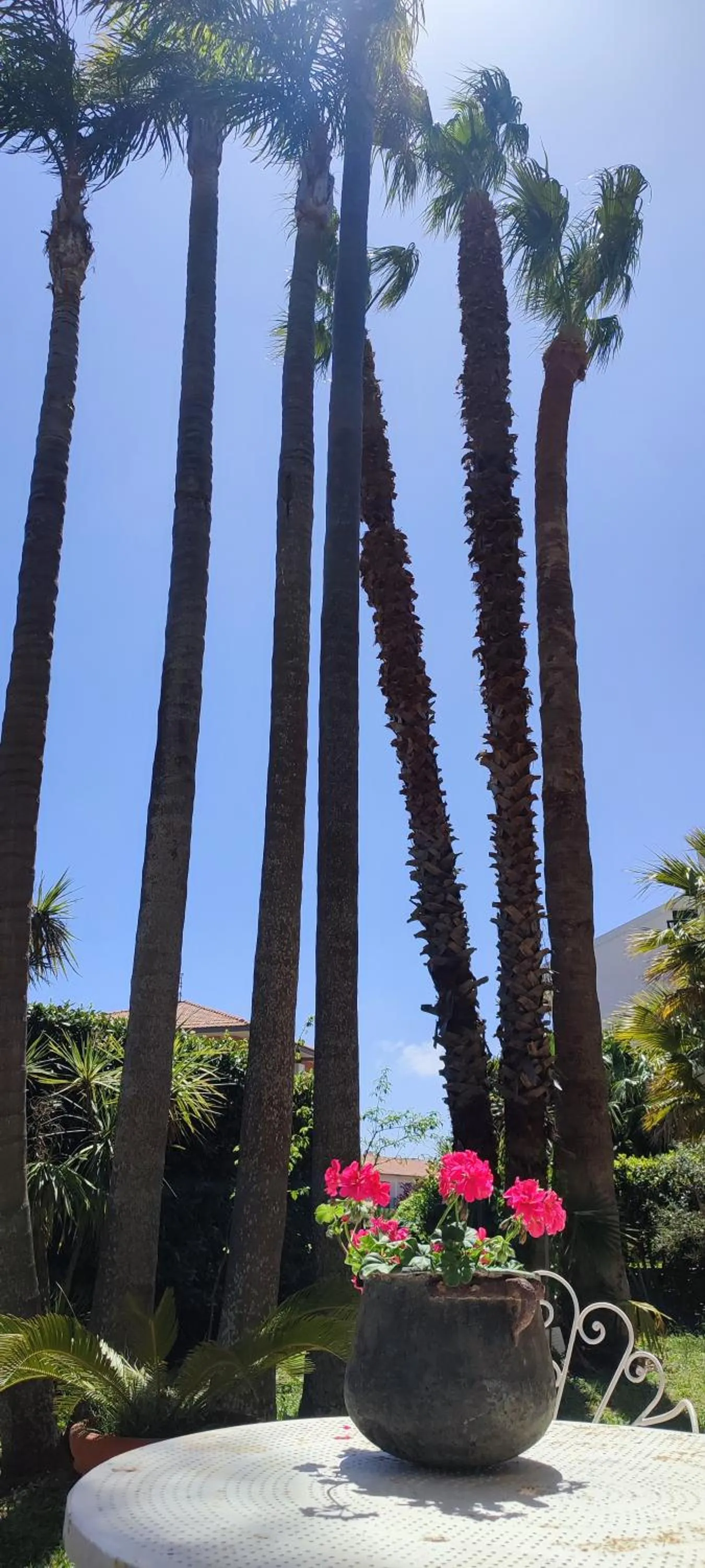 Garden view in B&B Villa Victoria