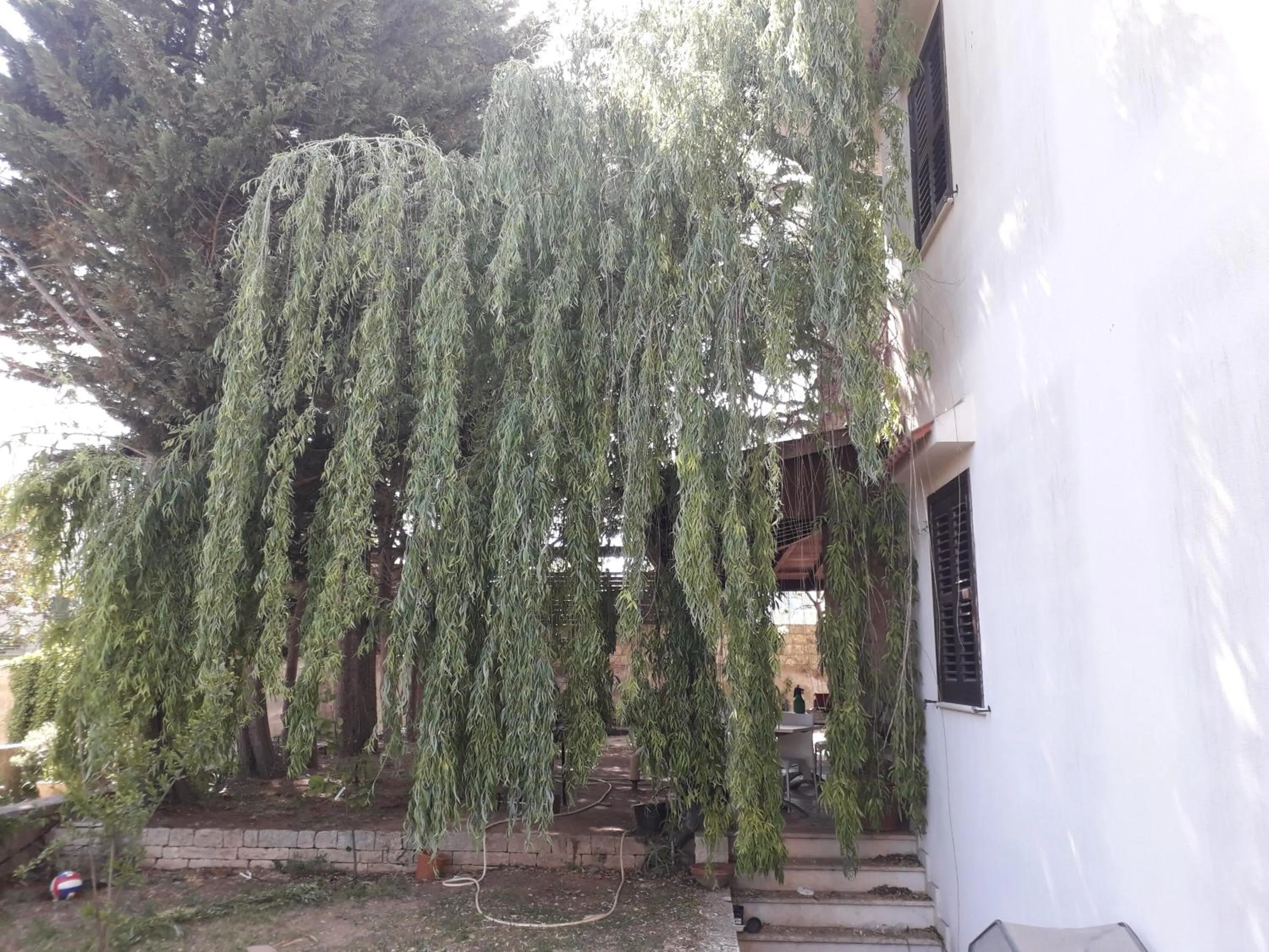 Garden in B&B Villa Victoria