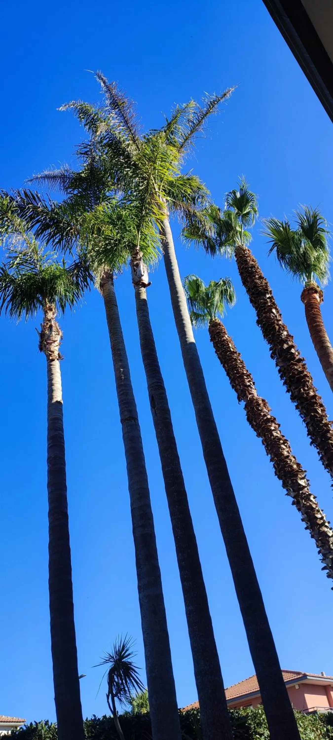 Garden view in B&B Villa Victoria