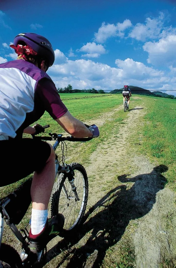 Cycling in Gasthof Westfeld