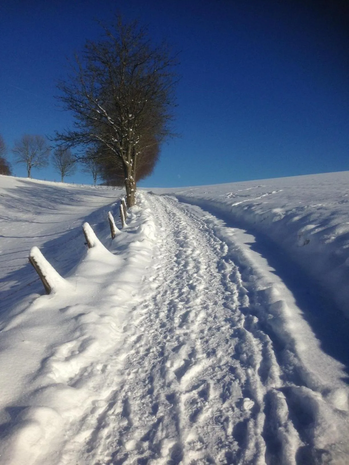 Skiing in Gasthof Westfeld