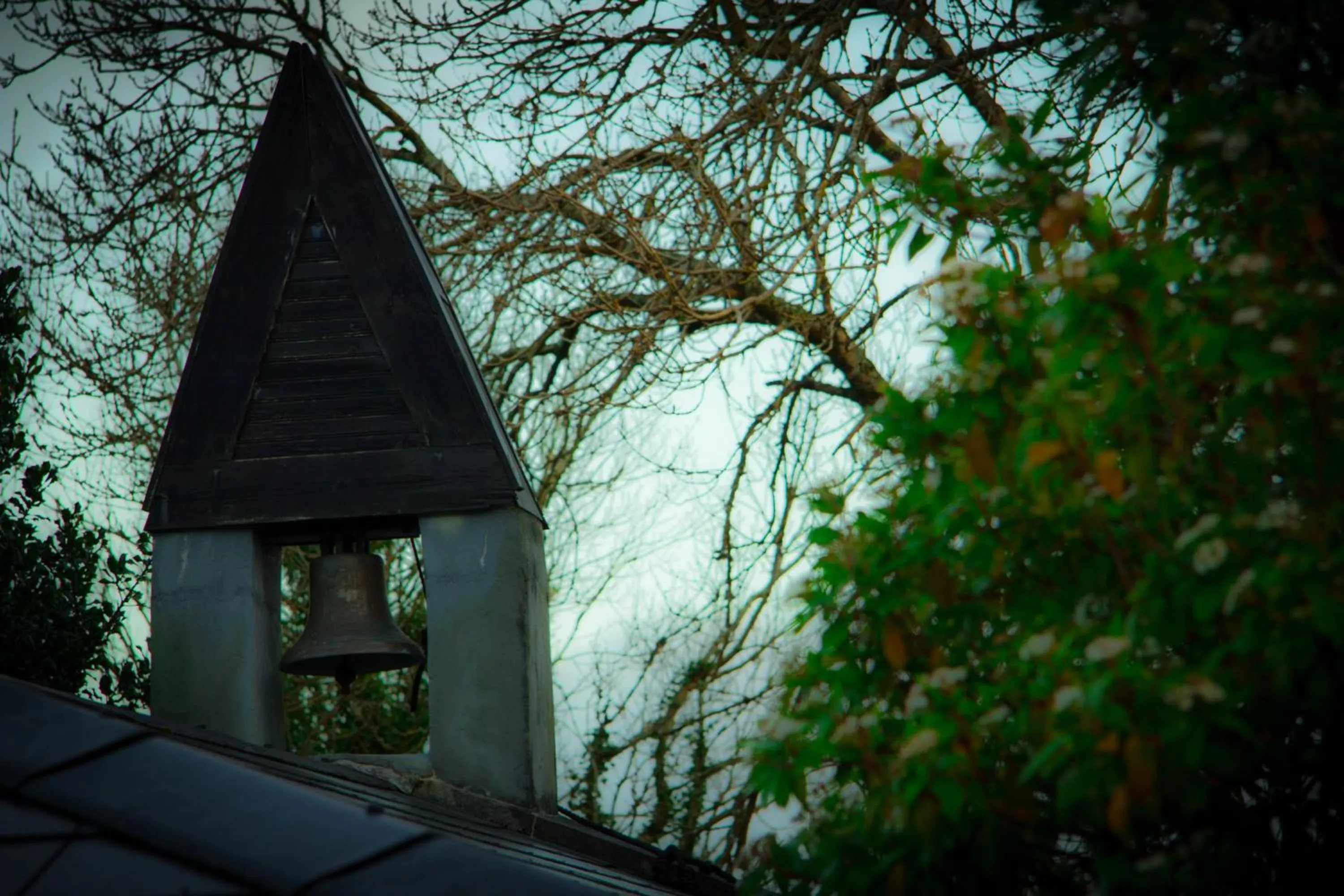 Other in The Waters Country House