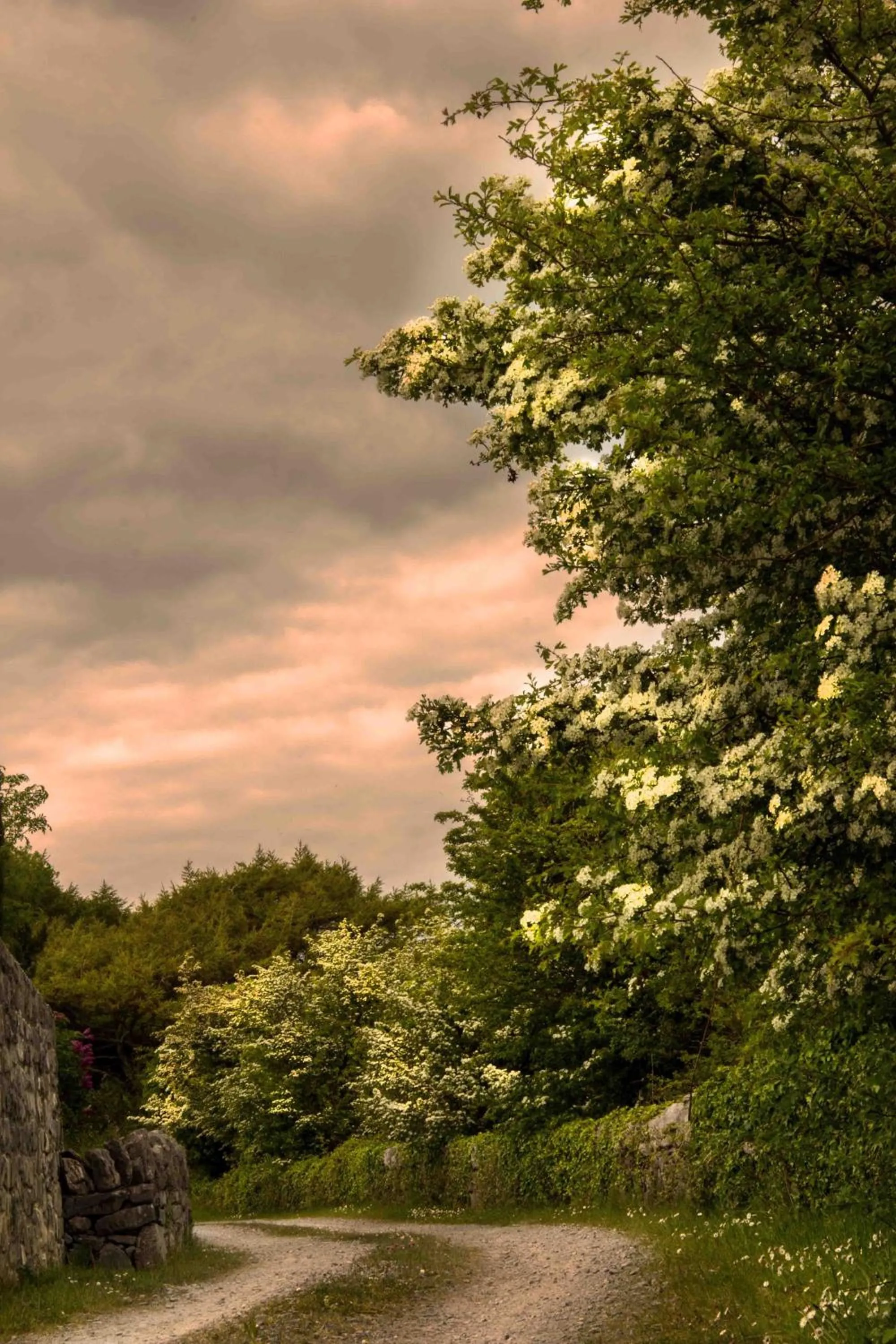 Natural landscape in The Waters Country House