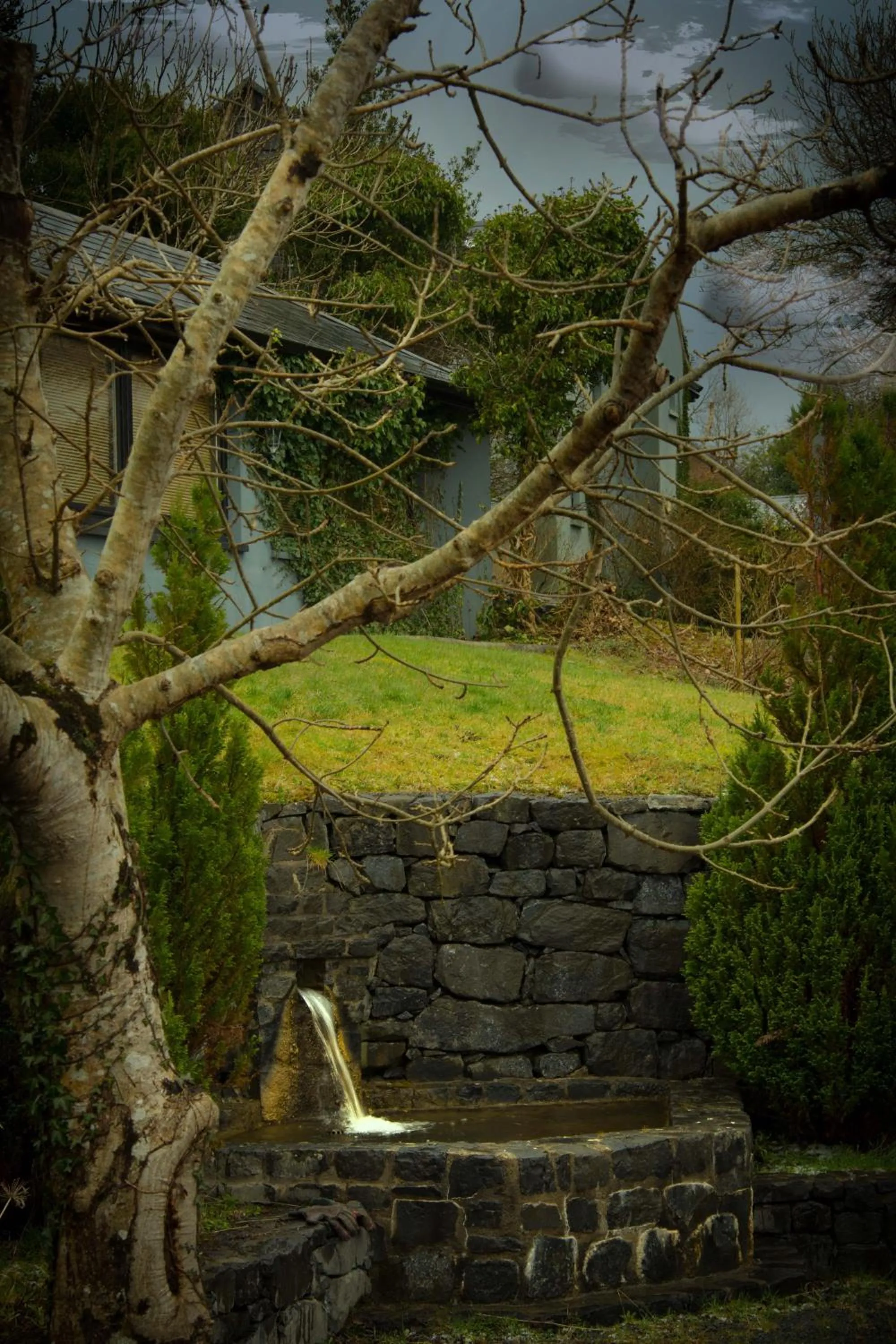 Other in The Waters Country House