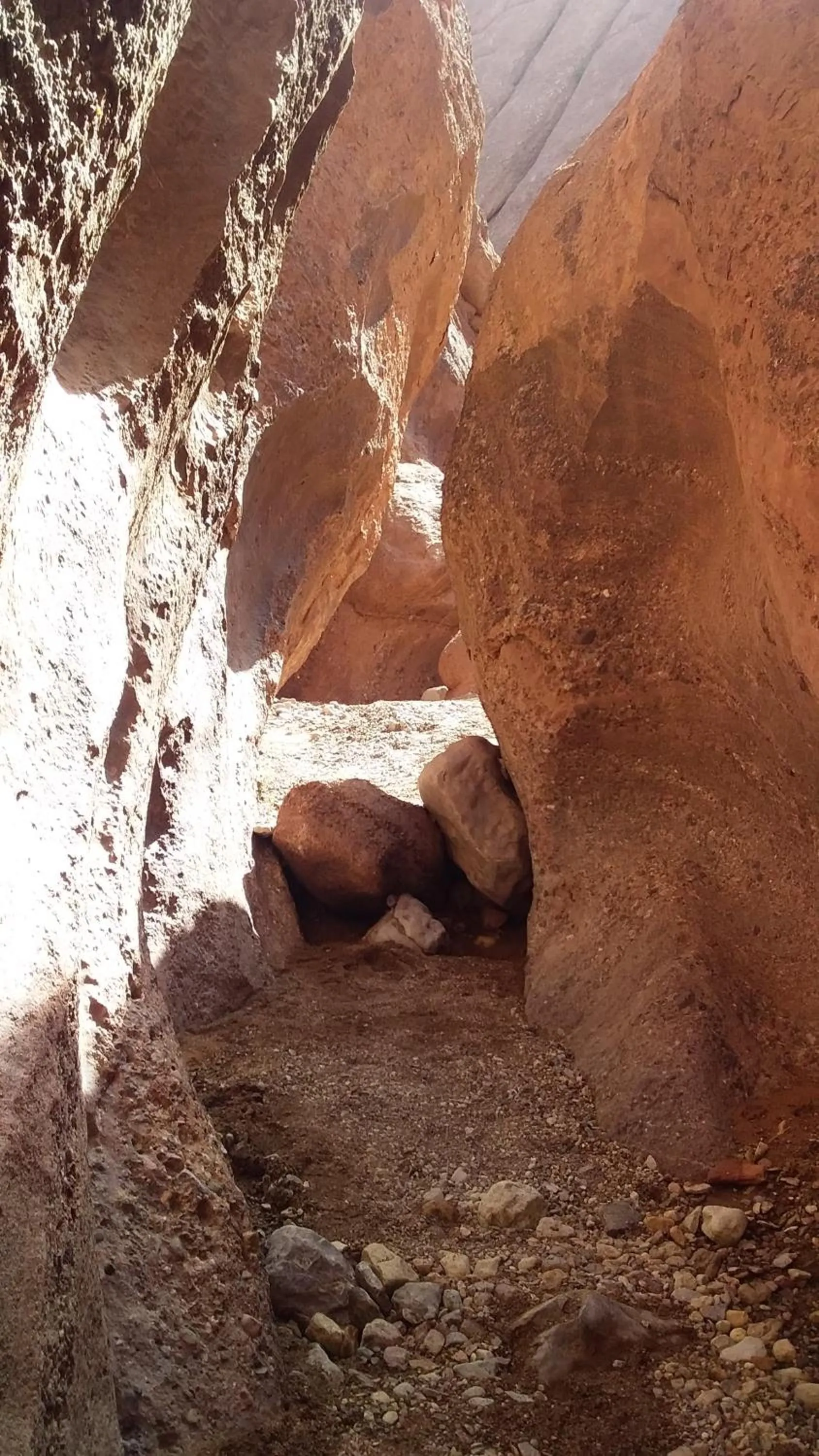 Natural landscape in Maison D'hote Amazir DADES