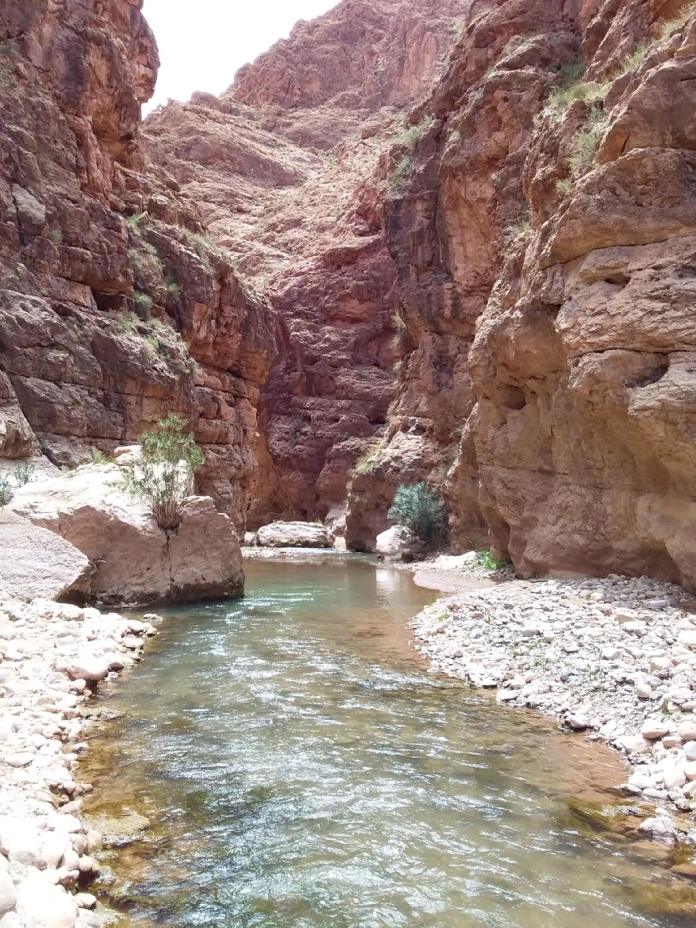 Beach in Maison D'hote Amazir DADES