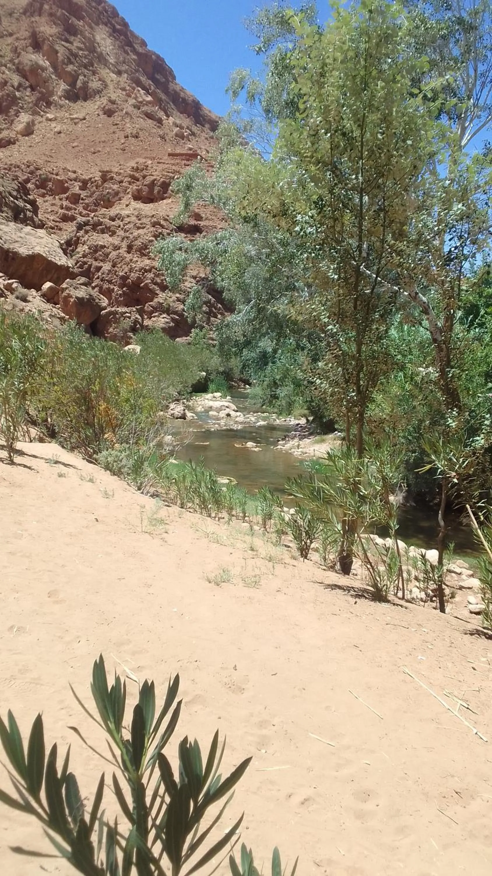 Maison D'hote Amazir DADES