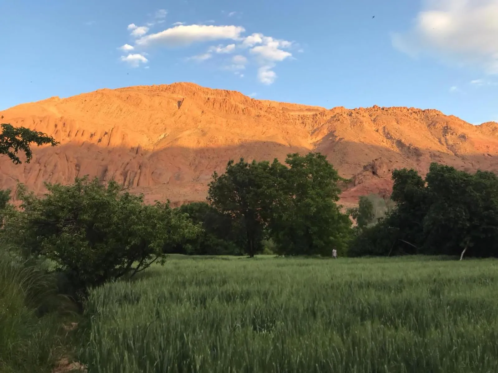 Natural landscape in Maison D'hote Amazir DADES