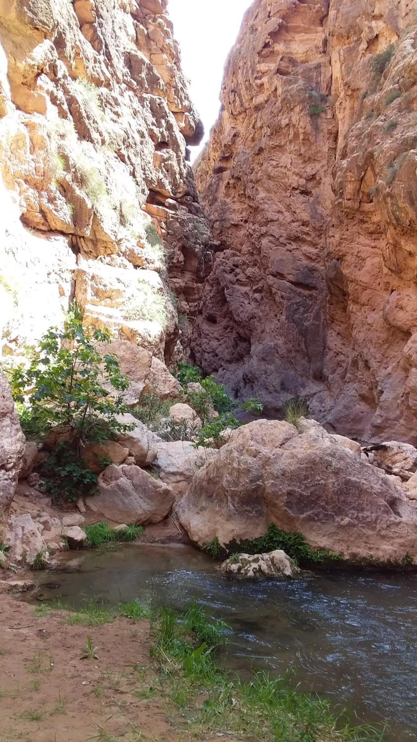 Hiking in Maison D'hote Amazir DADES