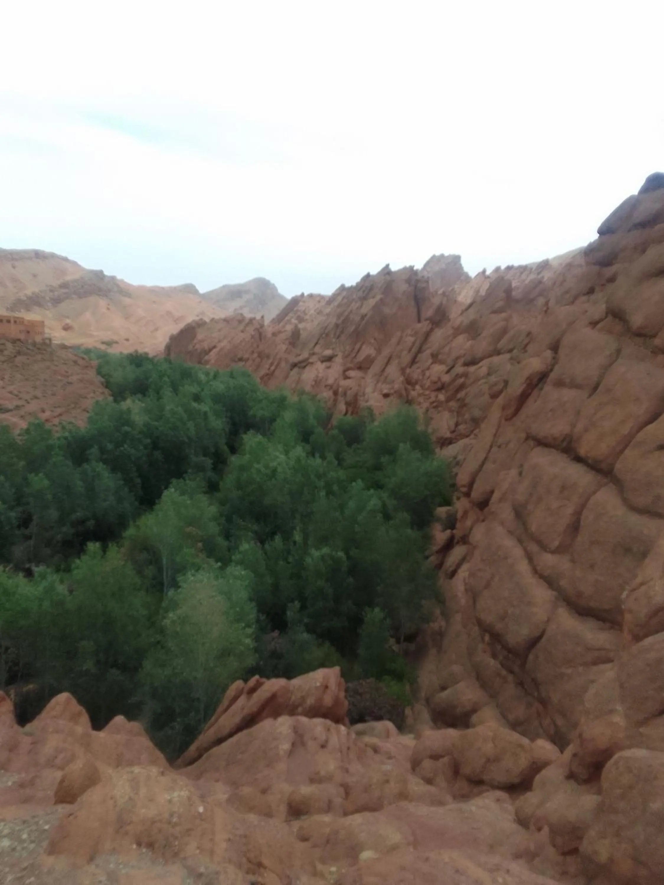 Day in Maison D'hote Amazir DADES