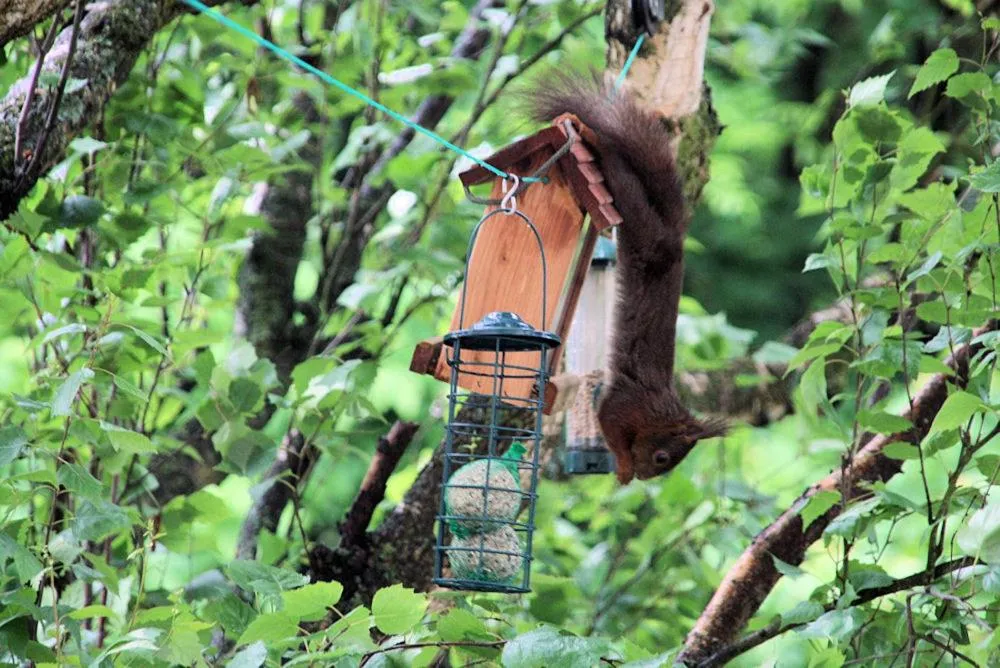 Activities in Mes Oasis Nancy