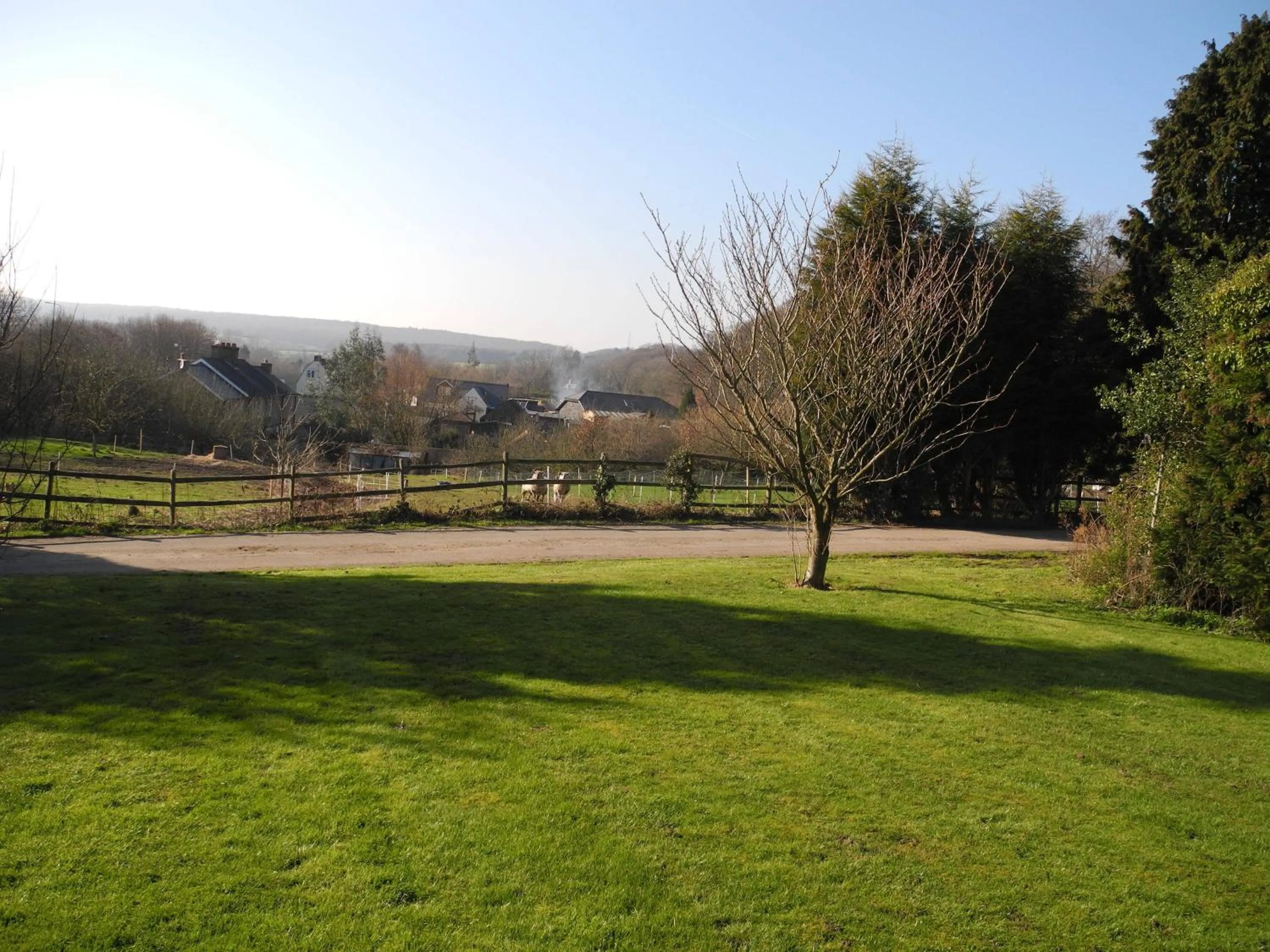 Natural landscape in Oakside Lodge Guest House