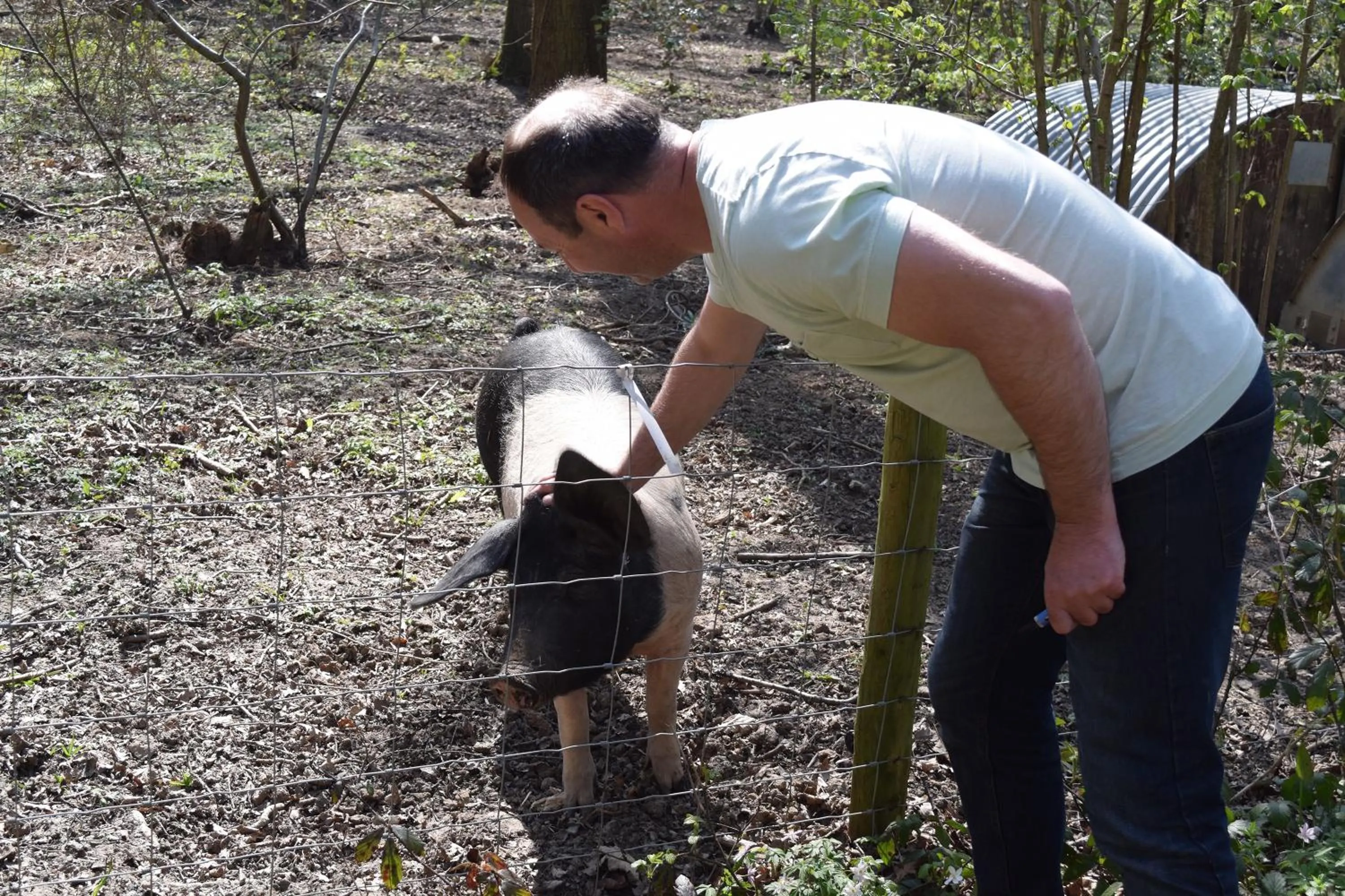 Animals in Oakside Lodge Guest House