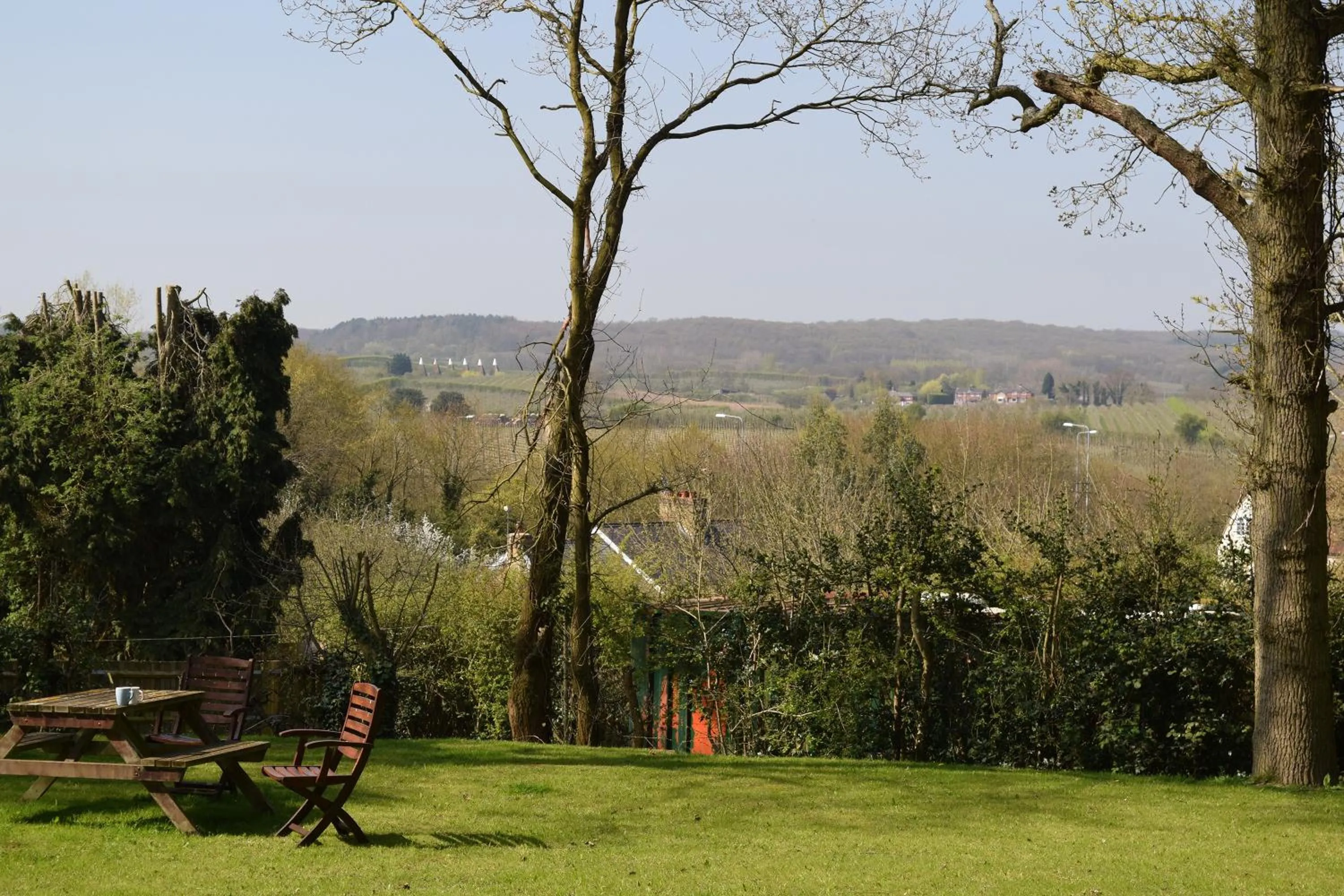 Garden view in Oakside Lodge Guest House