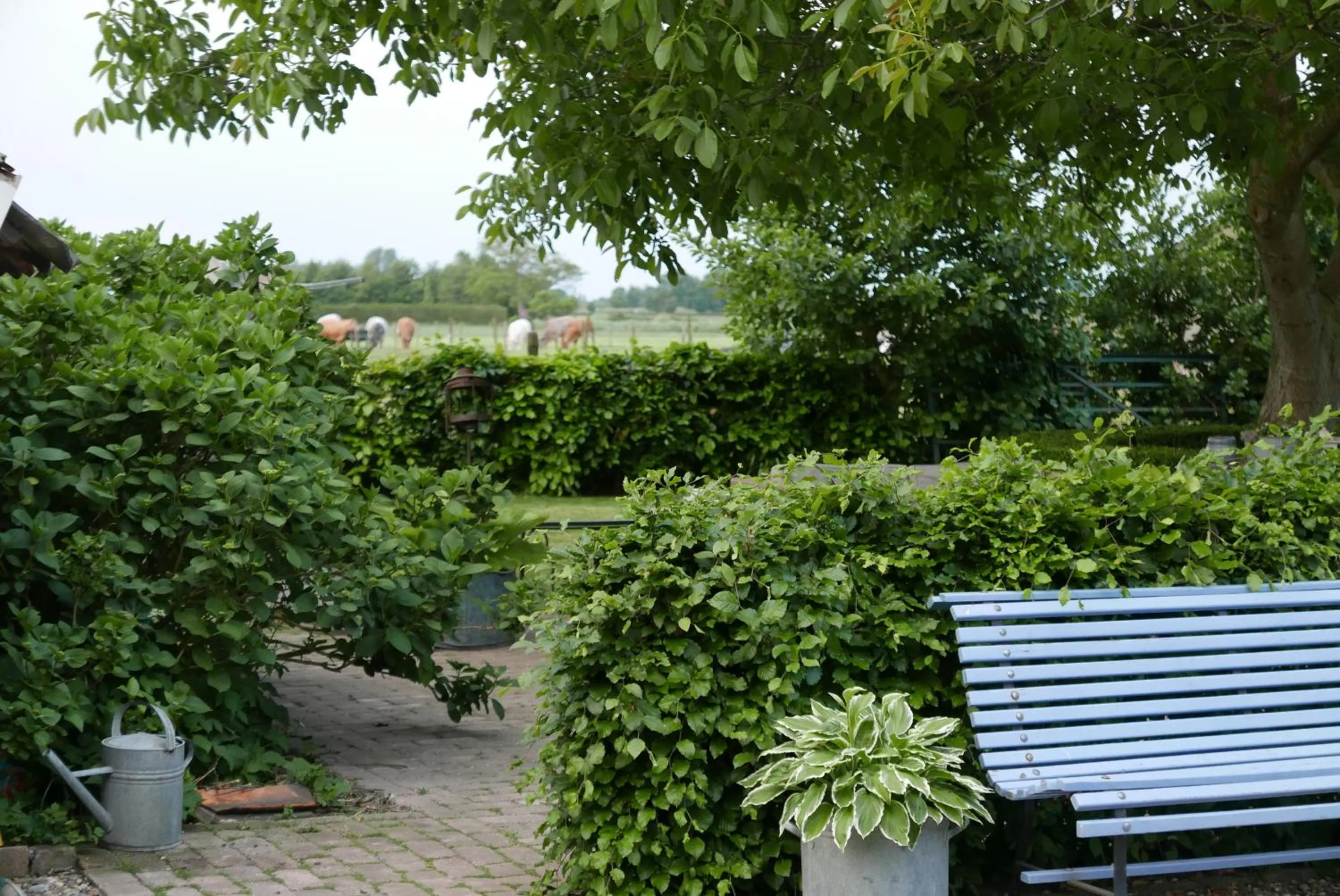 Spring in B&B Bed en Omelet