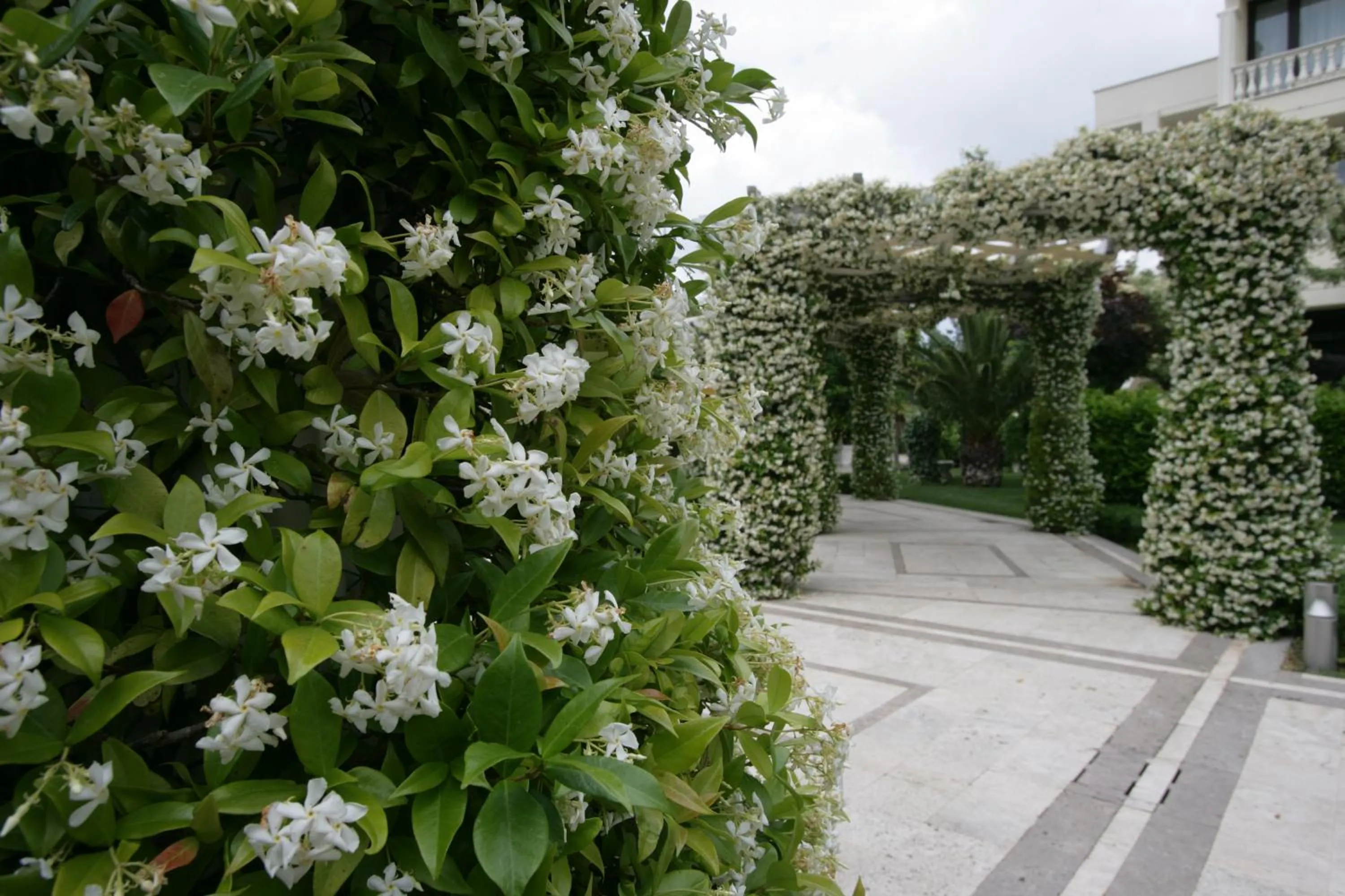 Park Hotel Campitelli