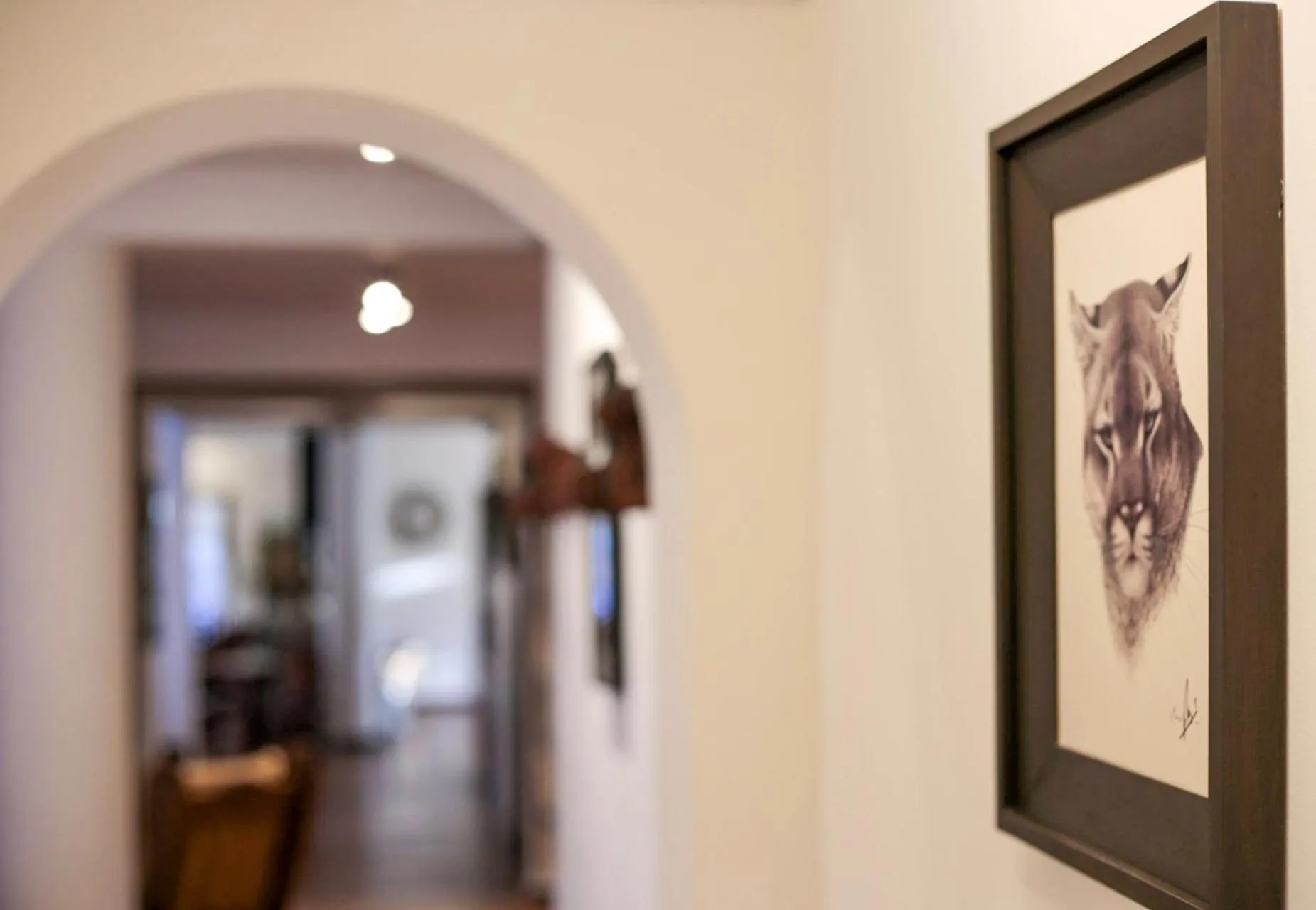 Area and facilities in Apart & Hotel La Fontaine - by ROTUI