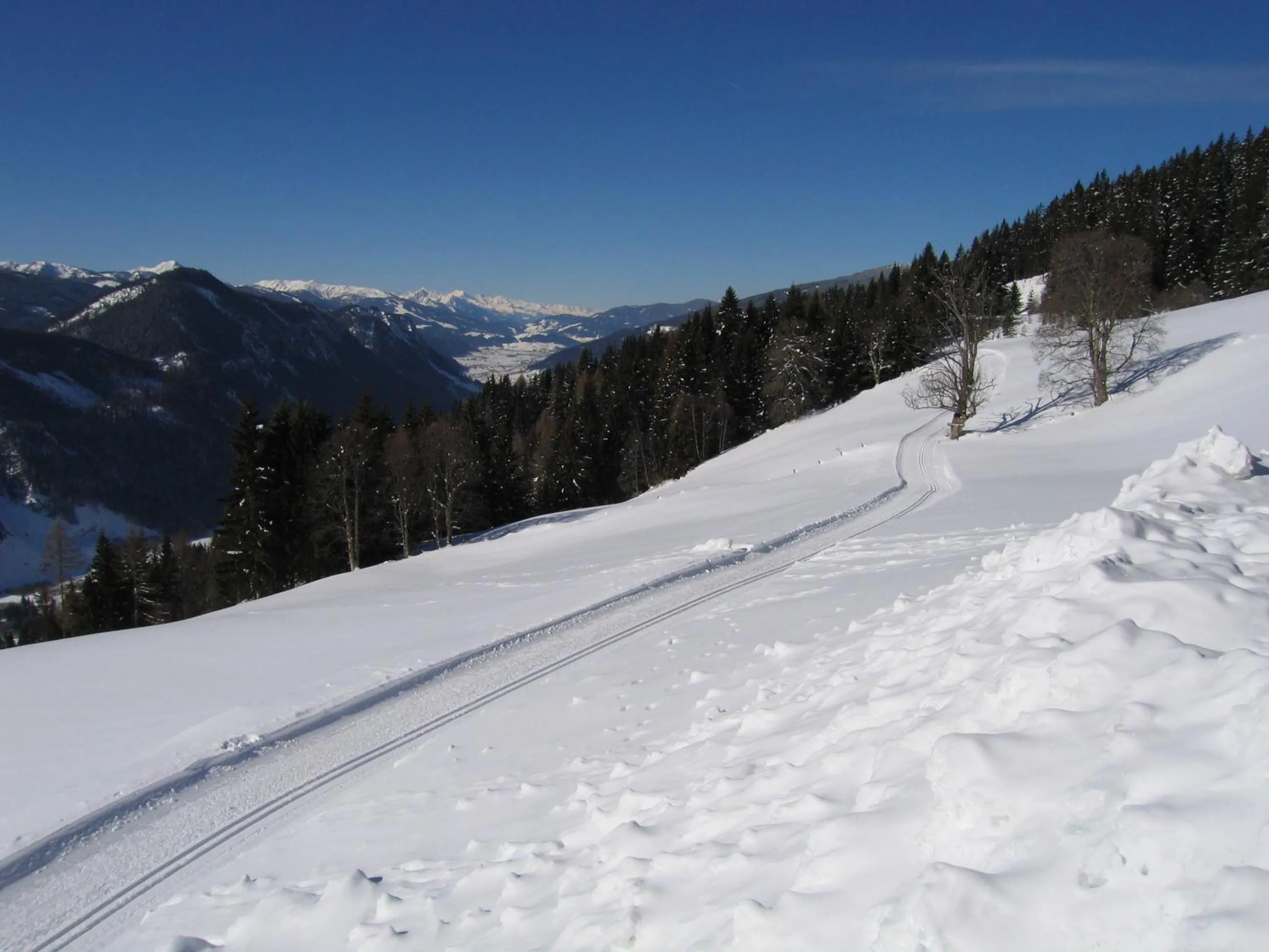 Natural landscape in Pension Bergbauernhof Irxner