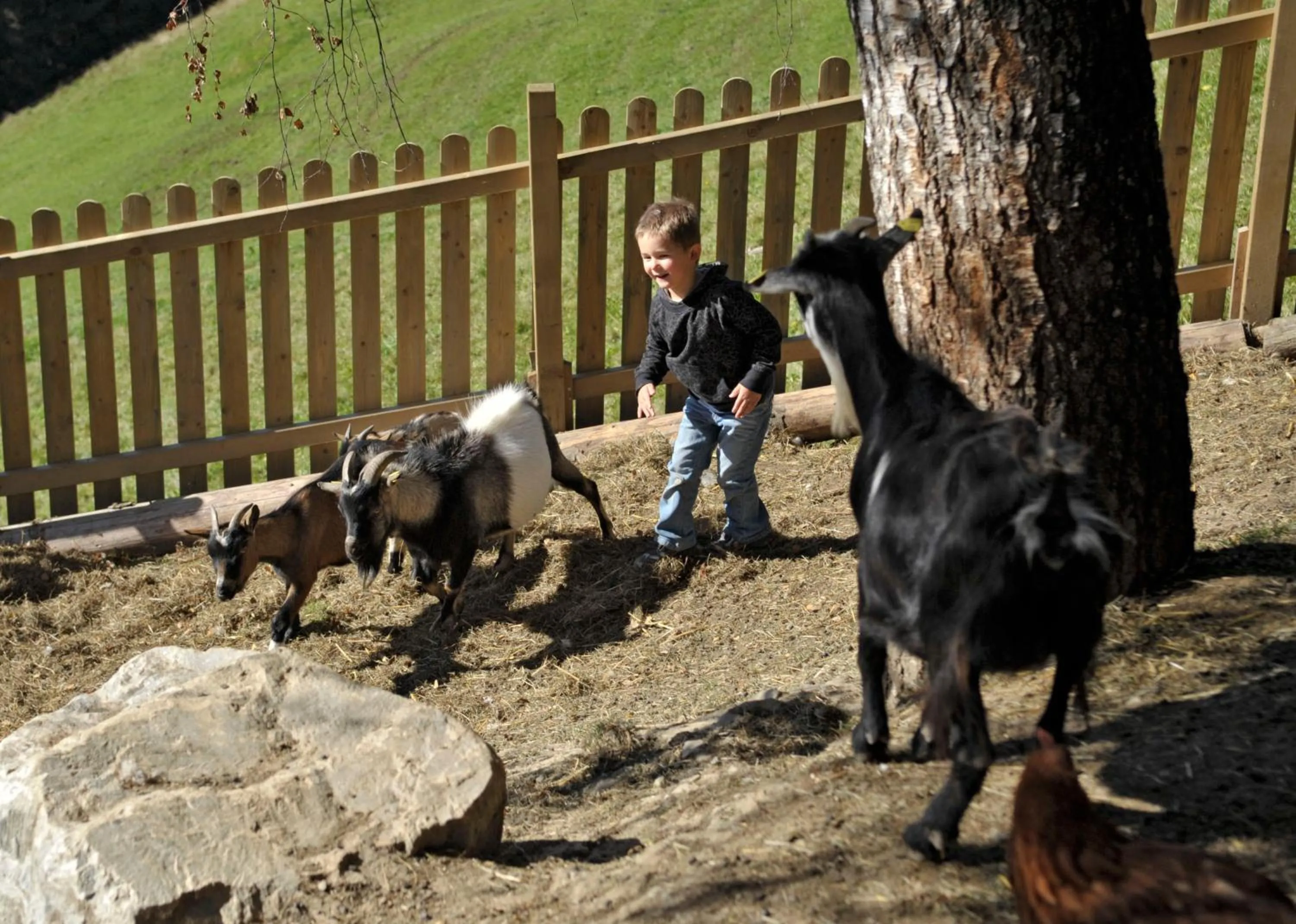 Children play ground in Pension Bergbauernhof Irxner