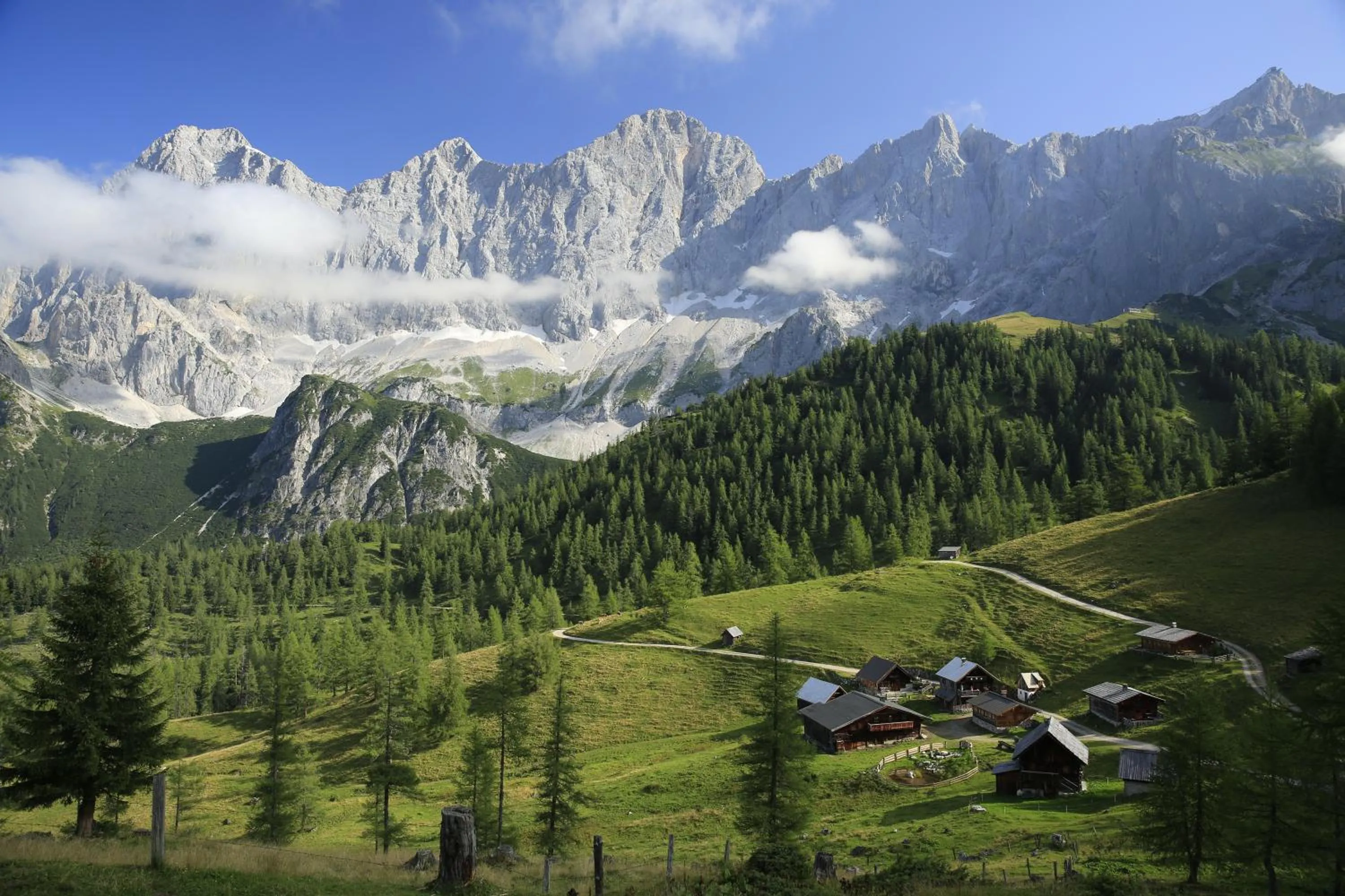 Natural landscape in Pension Bergbauernhof Irxner