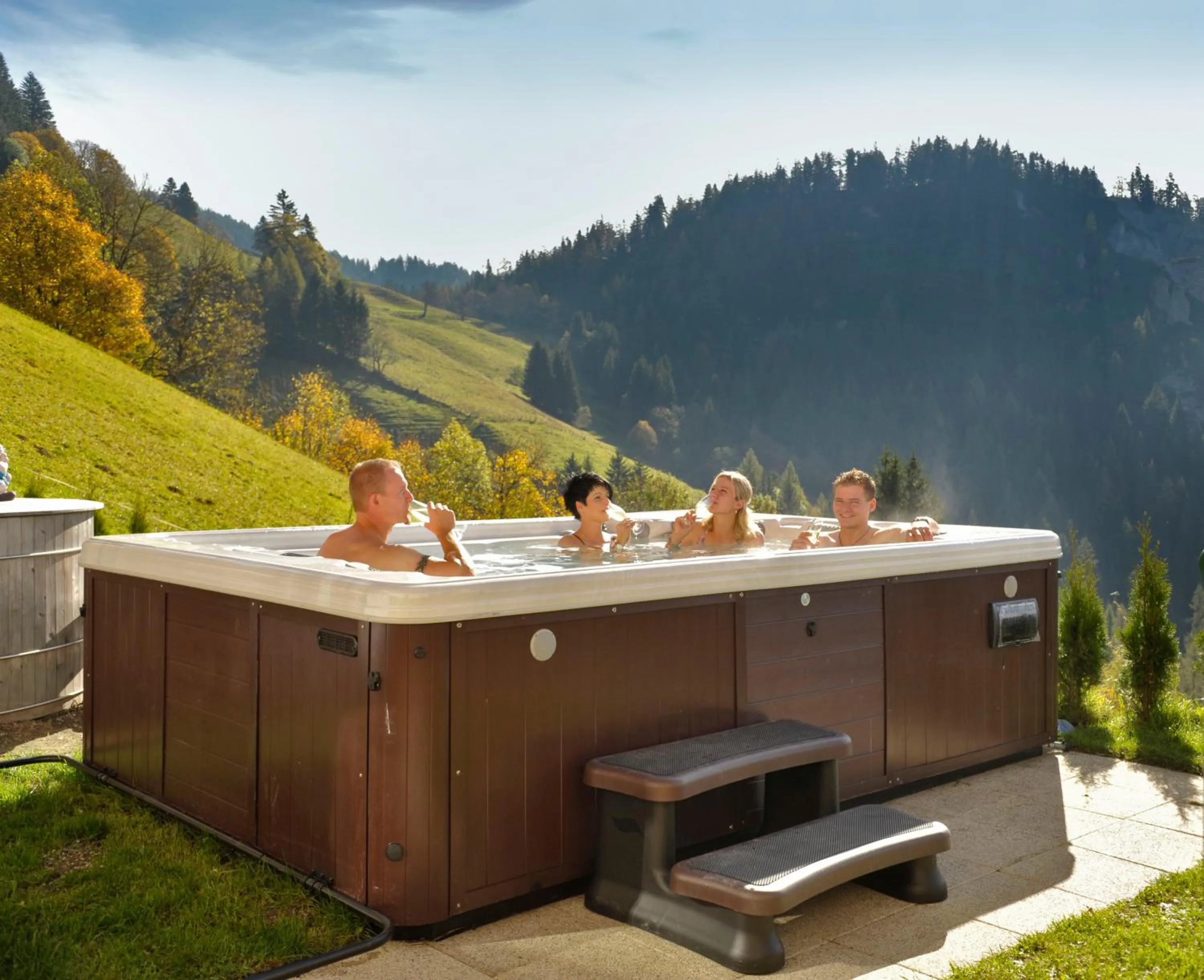 Spa and wellness centre/facilities in Pension Bergbauernhof Irxner