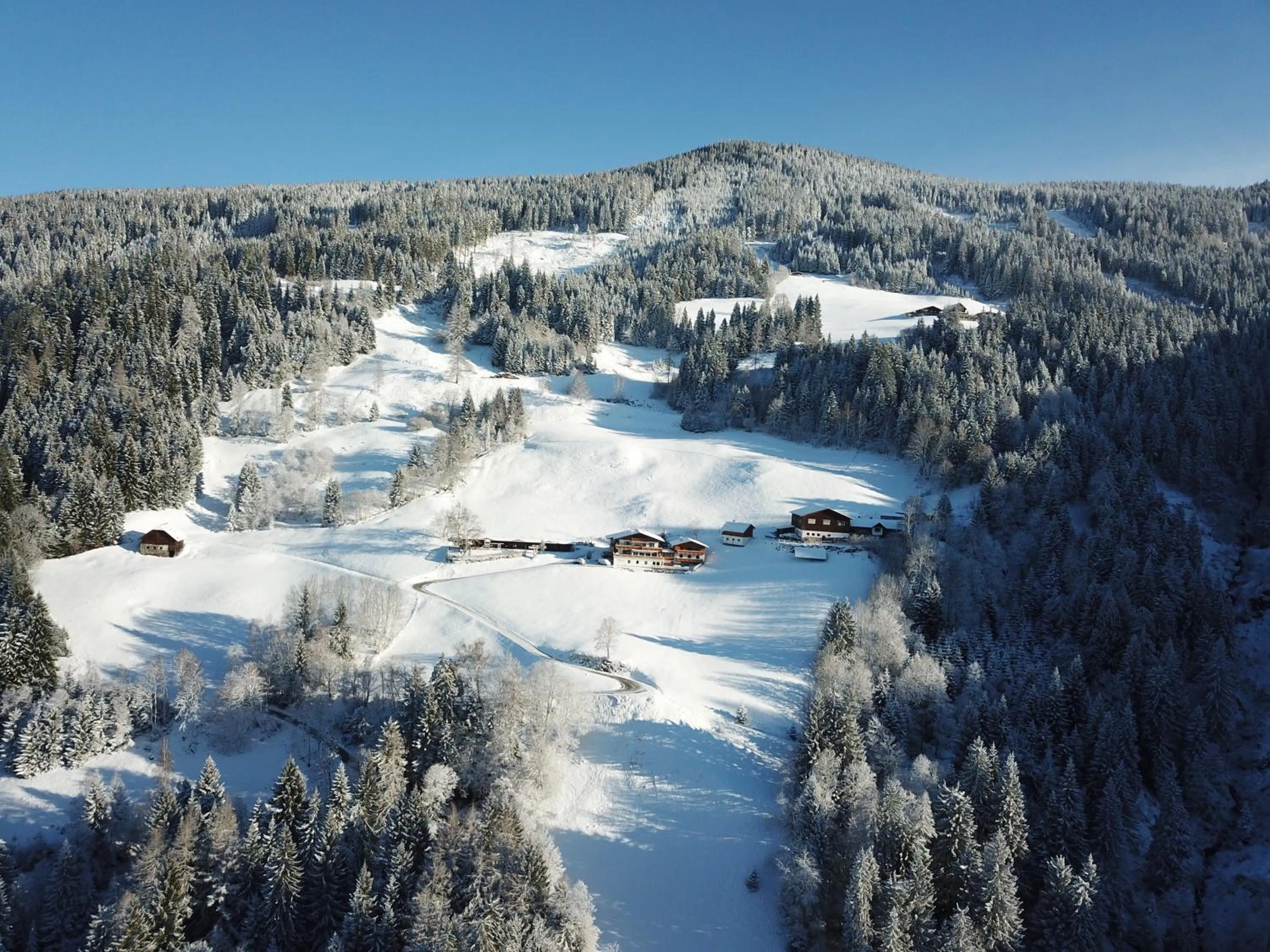 Natural landscape in Pension Bergbauernhof Irxner