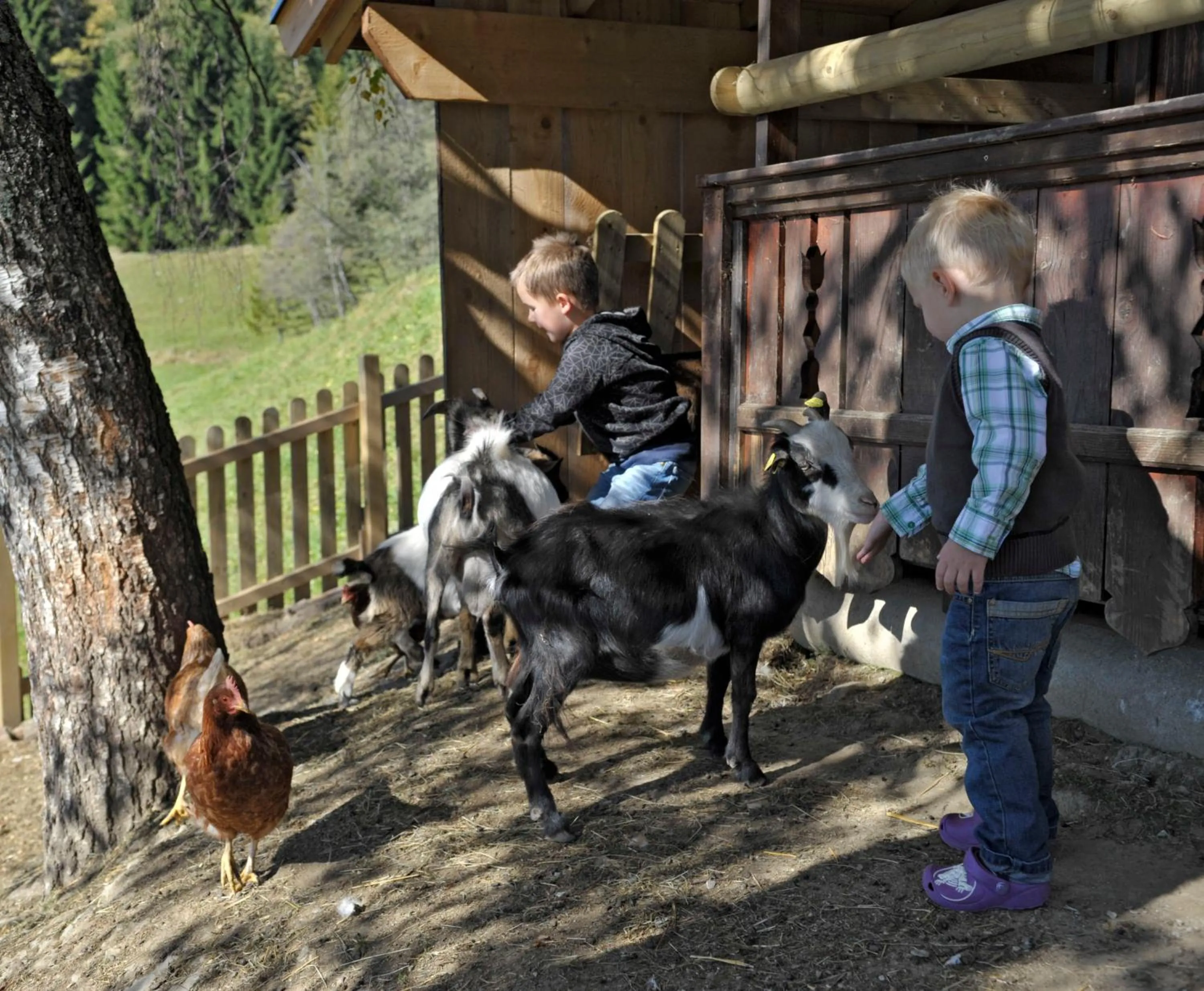 Children play ground in Pension Bergbauernhof Irxner