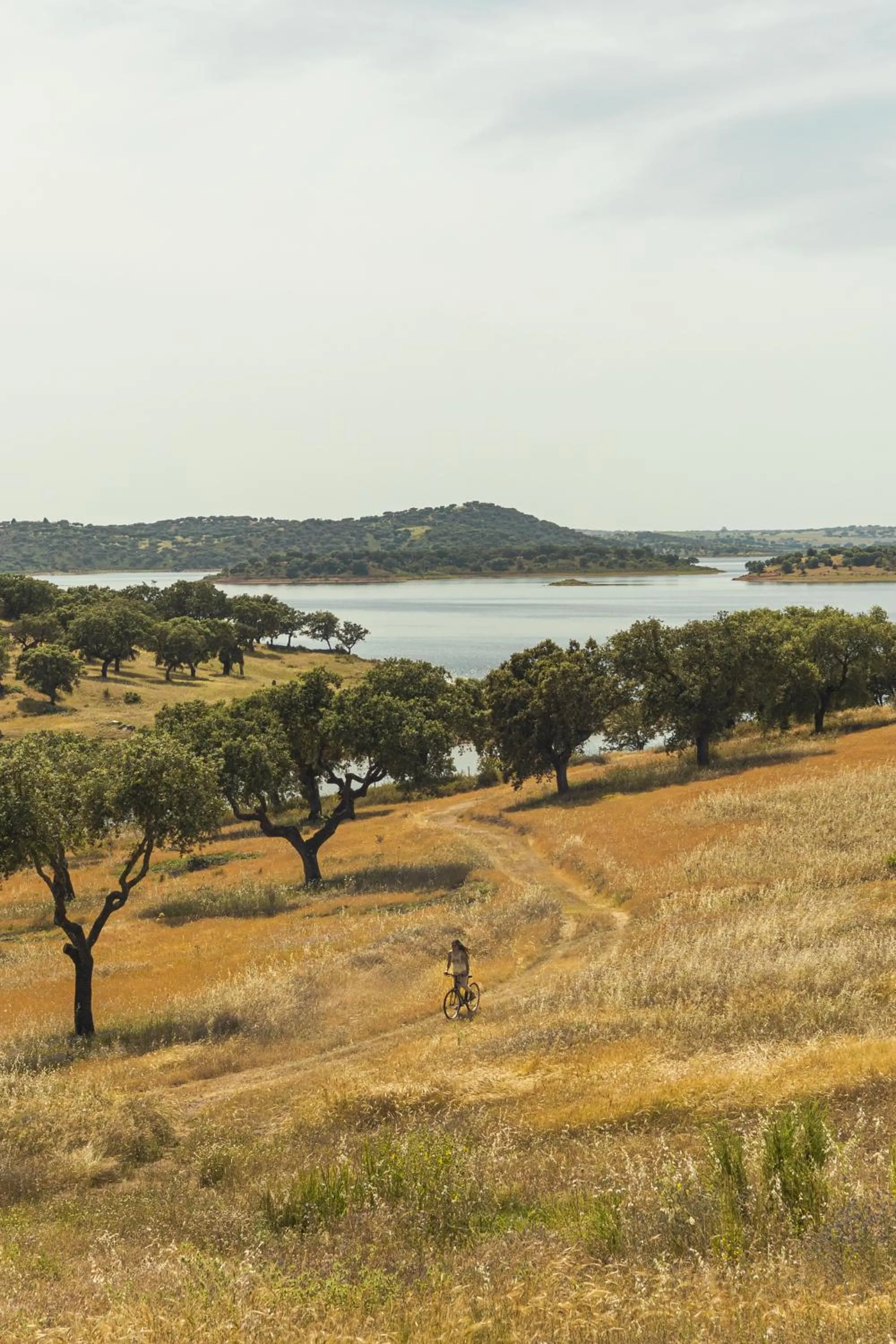 View (from property/room) in Herdade dos Delgados