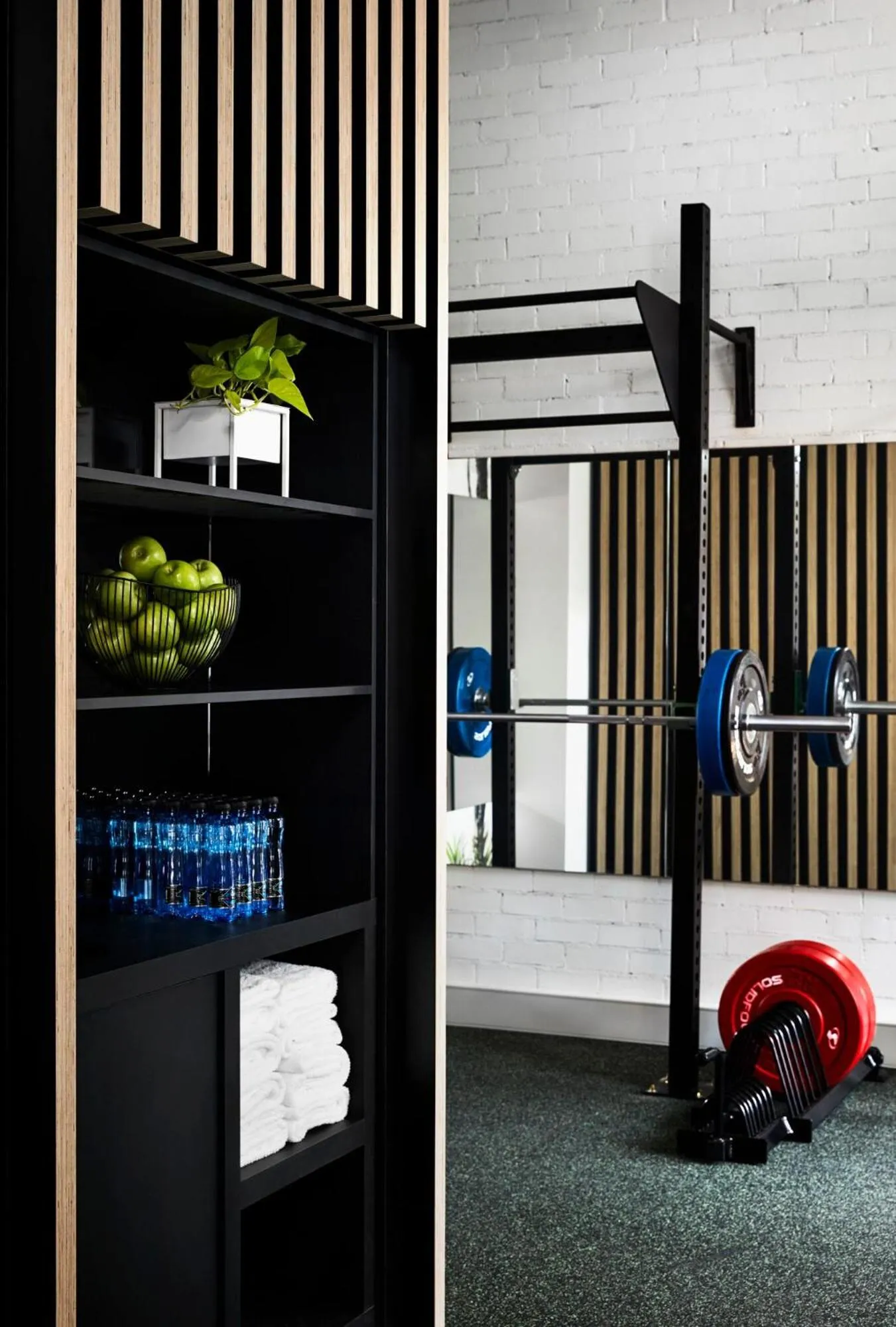 Fitness centre/facilities in Zagame's House