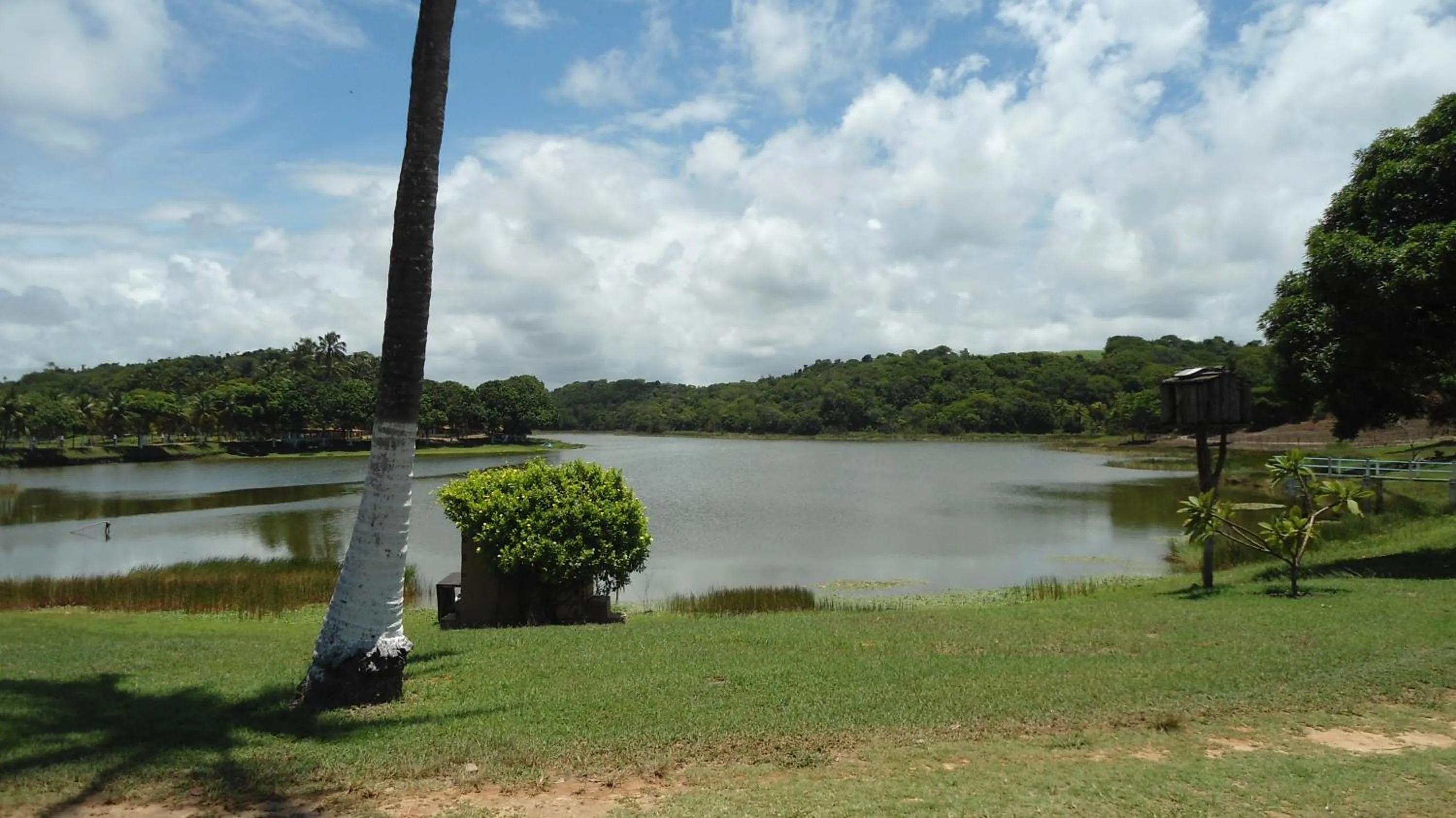 Garden view in Fazenda Fiore Resort