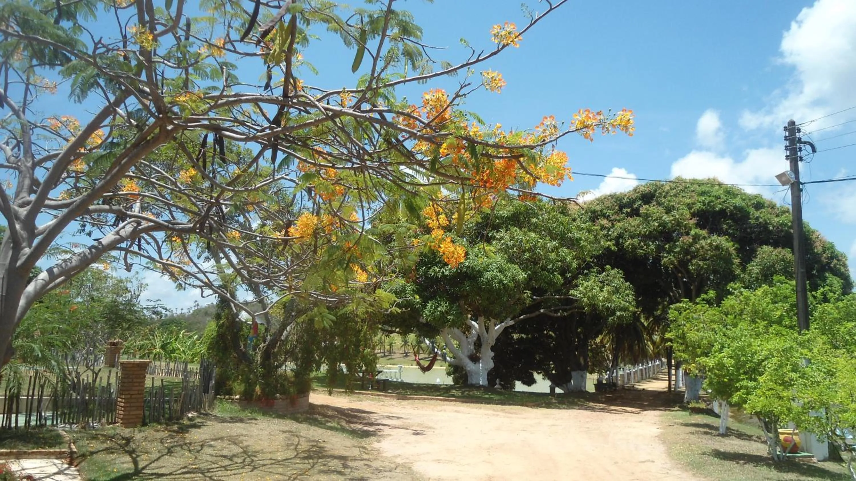 Garden view in Fazenda Fiore Resort