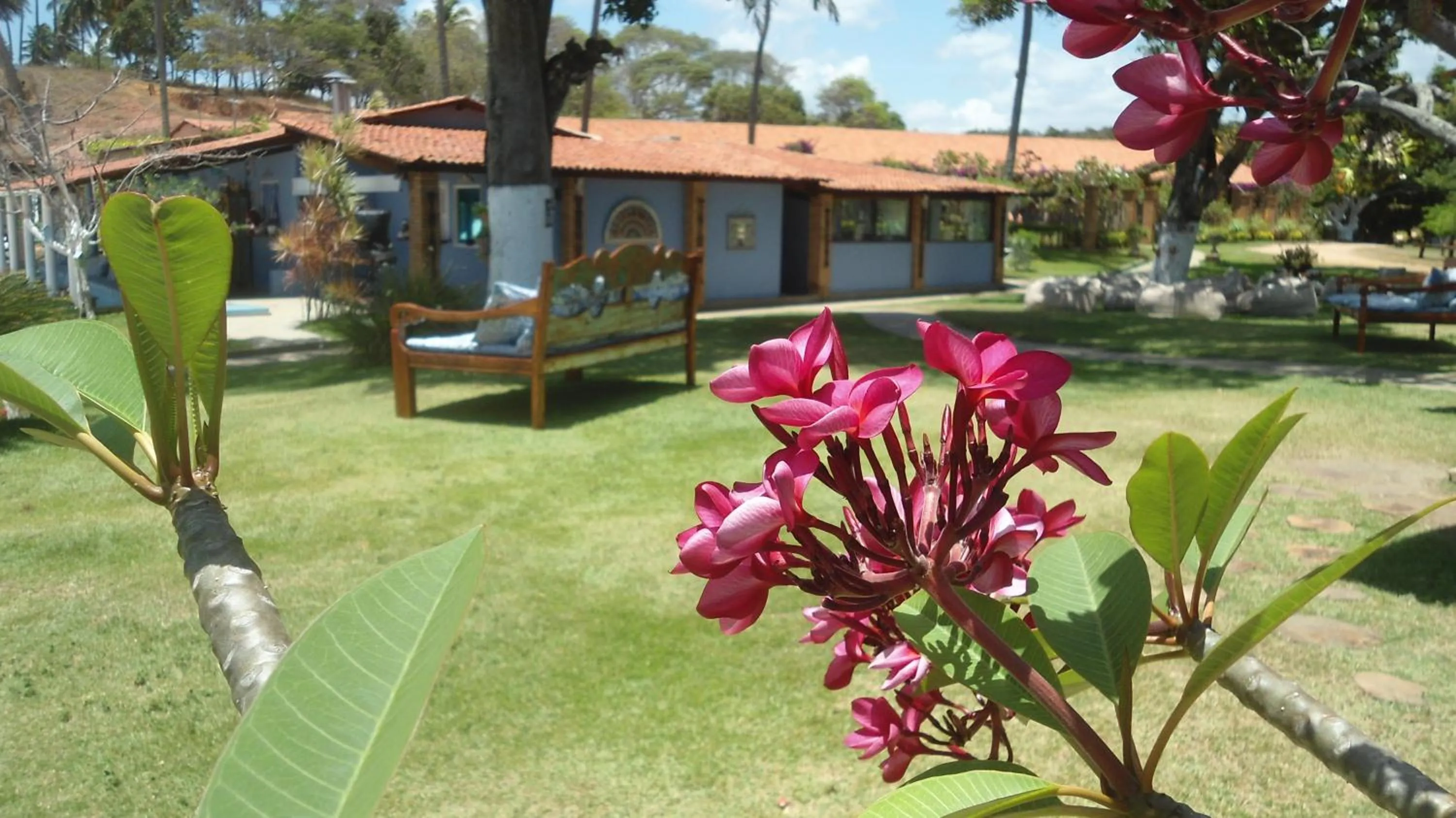 Restaurant/places to eat in Fazenda Fiore Resort