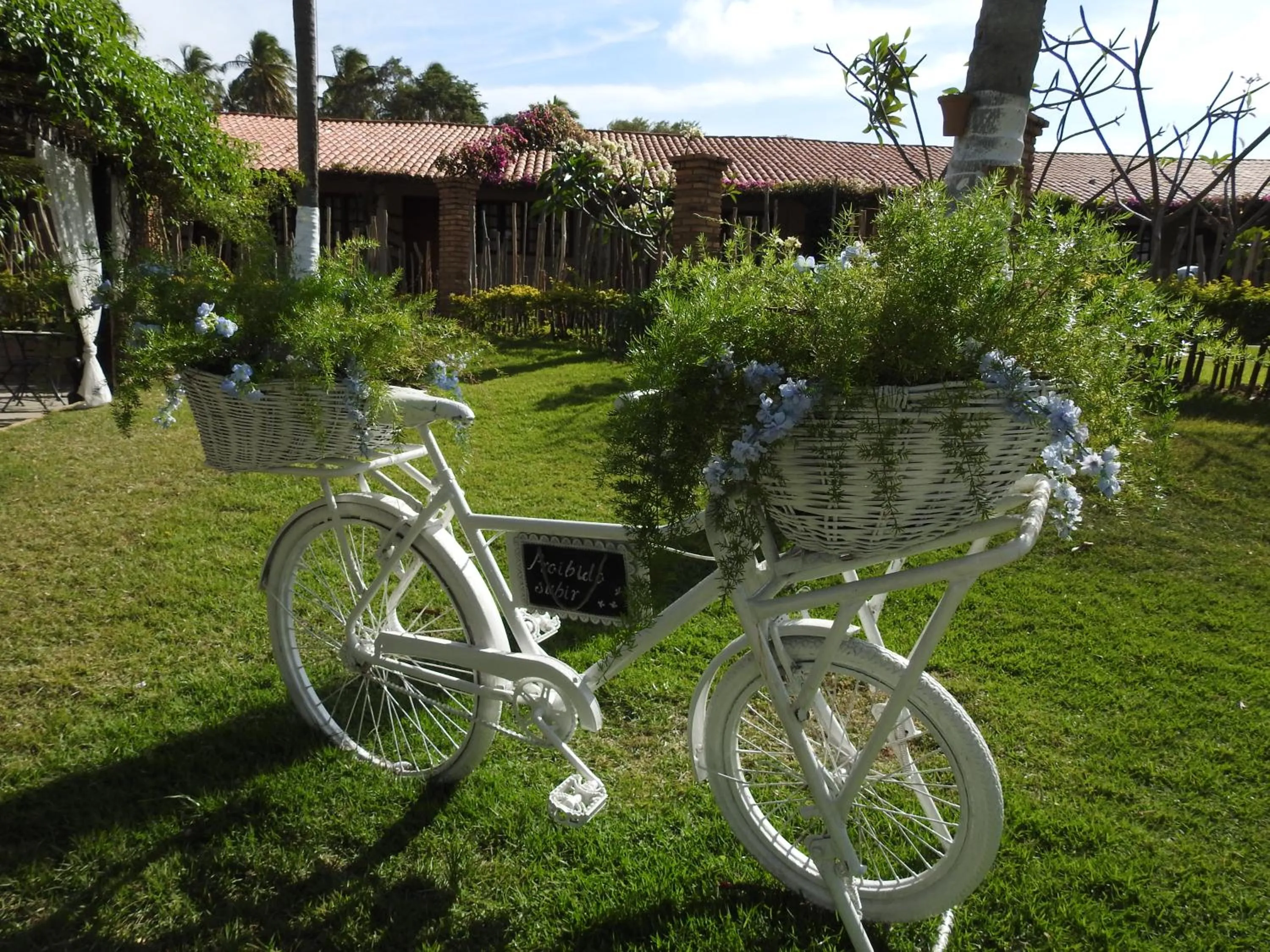 Decorative detail in Fazenda Fiore Resort